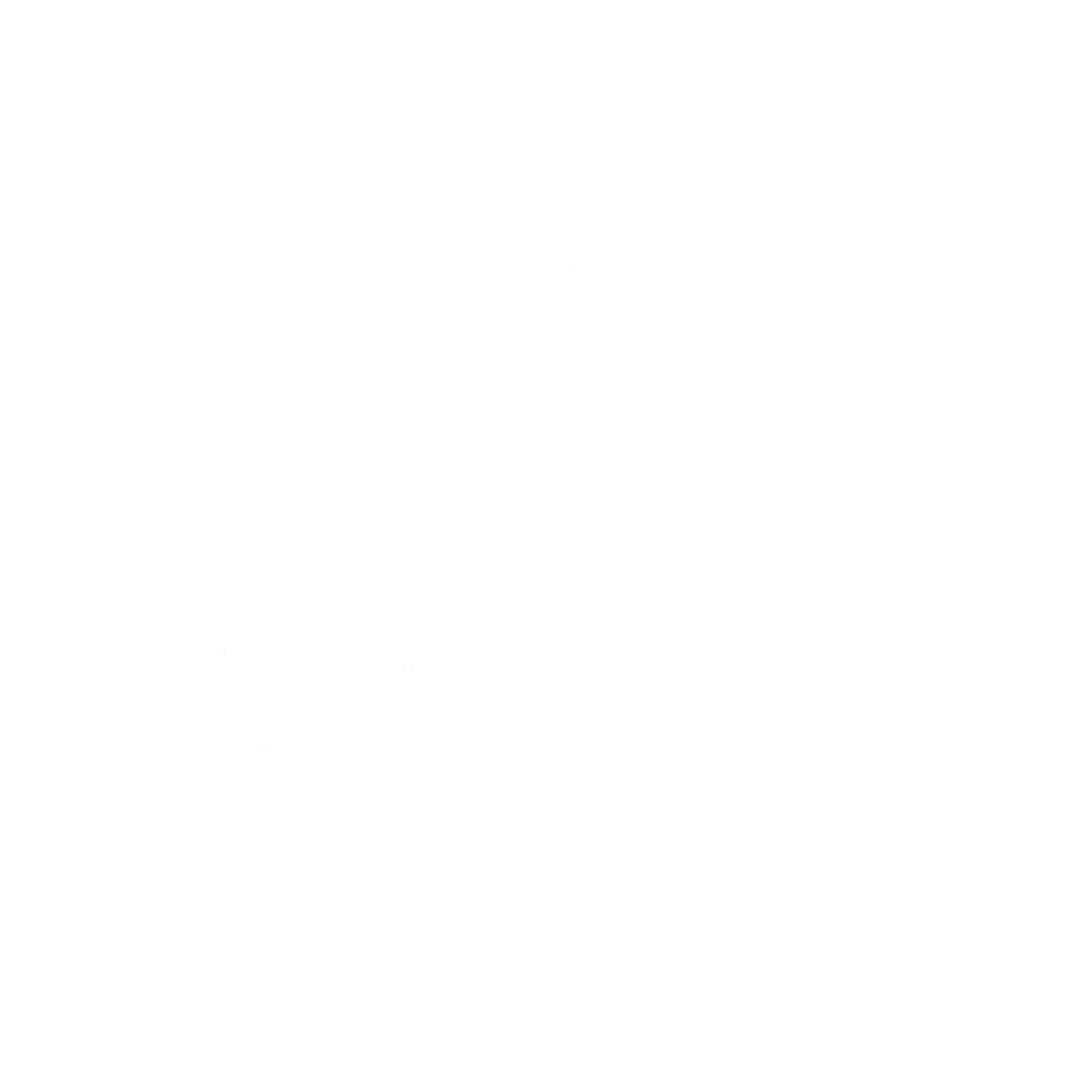 Cloud Nine St. Louis Bounce House Company 
