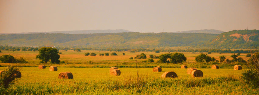 How Progressives are Rebuilding Trust in Rural Areas