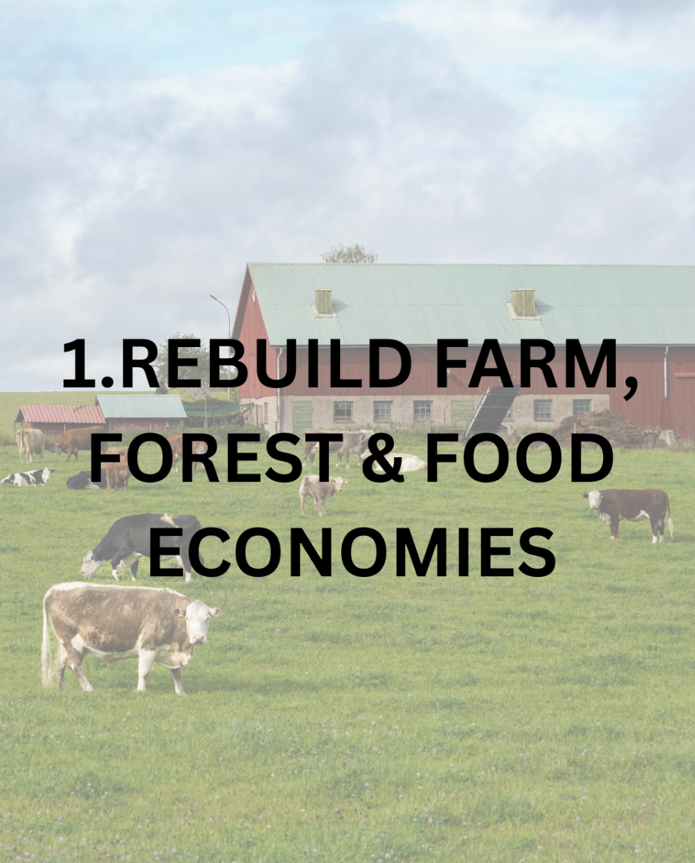 STRENGTHEN FAMILY FARMERS, FISHING & FOREST-BASED BUSINESS THROUGH INVESTMENT IN REGENERATIVE PRACTICES AND EXPANSION OF MARKETS & INFRASTRUCTURE 