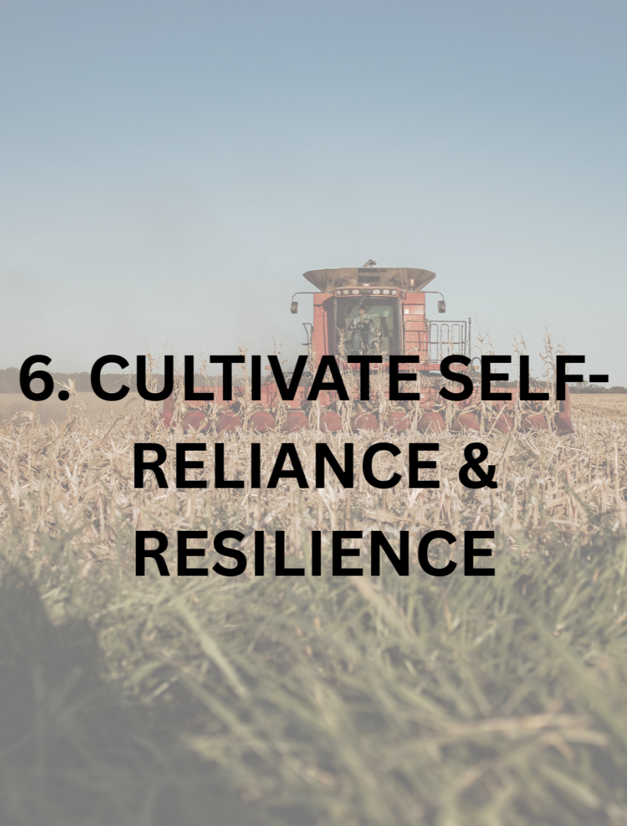 CULTIVATE SELF-RELIANCE & RESILIENCE IN RURAL COMMUNITIES, & THE NATION AS A WHOLE, THROUGH A DRAMATIC EXPANSION OF ENERGY EFFICIENT, AFFORDABLE HOUSING, DECENTRALIZED CLEAN ENERGY & LAND RECLAMATION & WASTE REDUCTION