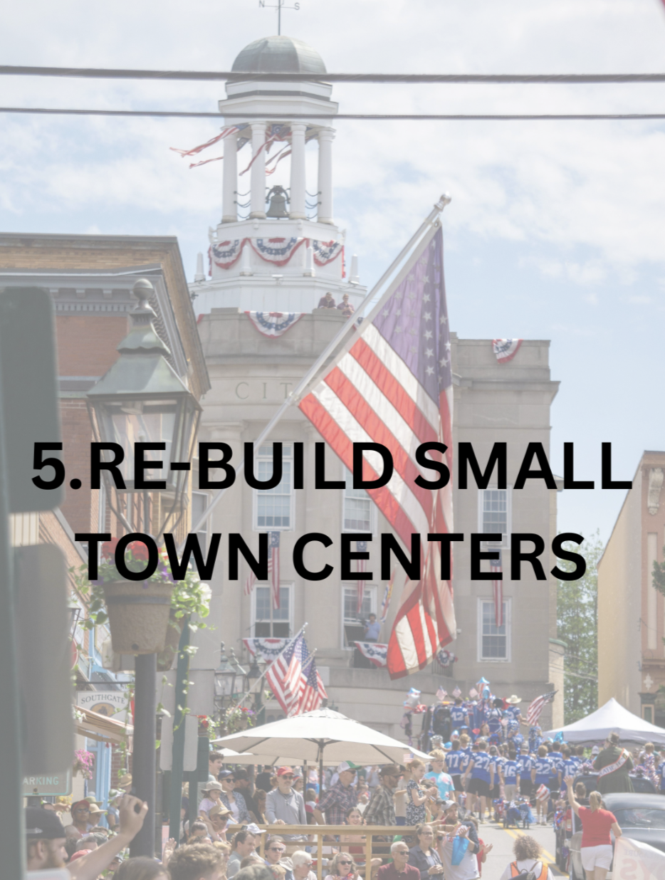 REVITALIZE & DIVERSIFY TOWN CENTERS IN SMALL & MID-SIZE TOWNS TO SPAWN NEW BUSINESSES & TO RETAIN OR ATTRACT YOUNG PEOPLE