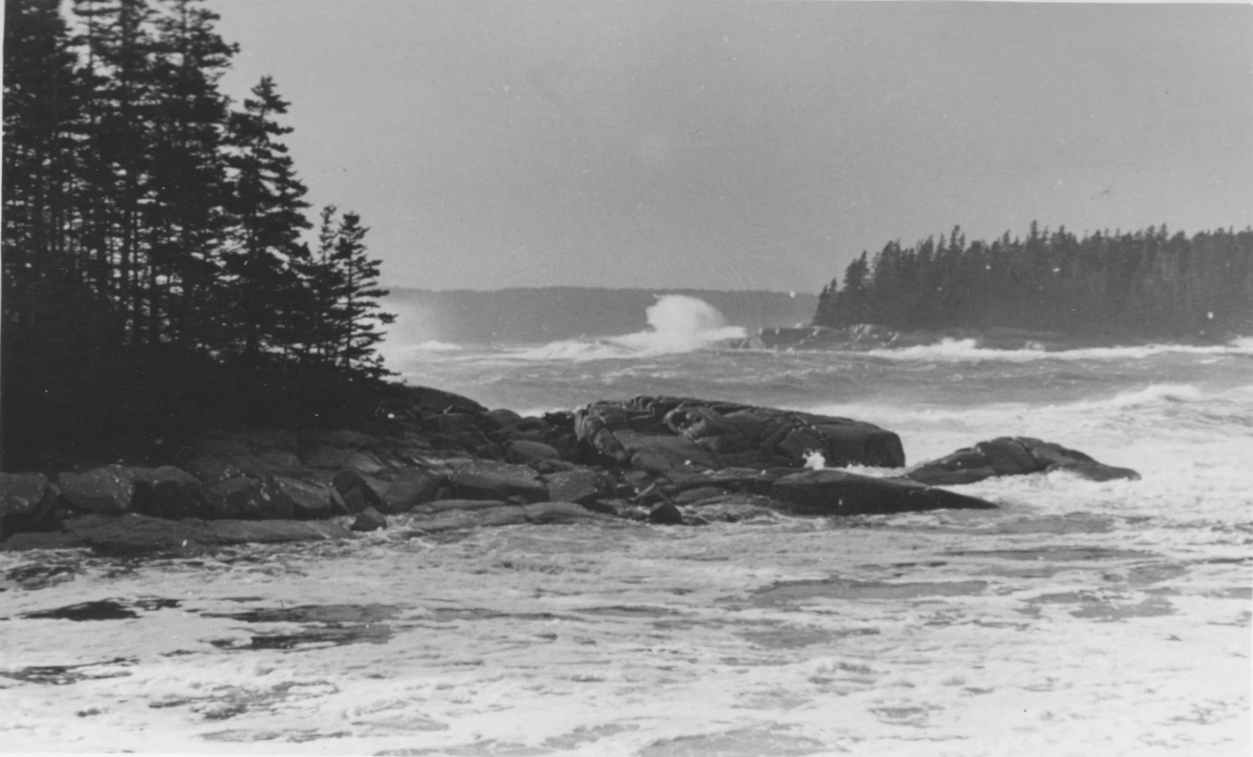 Wicked Pissah: Storms, Survival, and Sea Level Rise