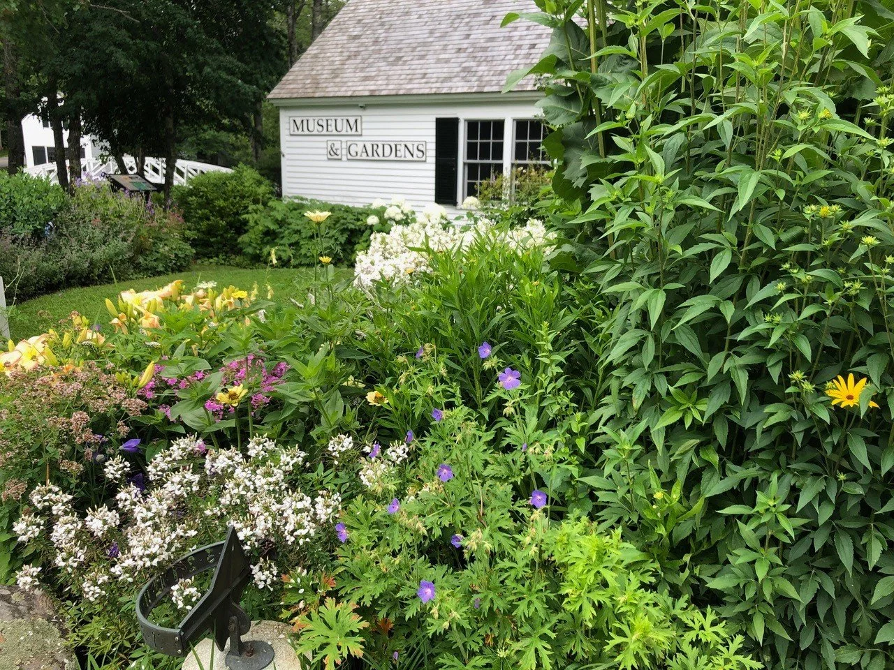 Coming up online on November 2 at 4:30pm- Chebacco Chats: The Somesville Museum&rsquo;s Heirloom Gardens, with Joy Lyons

Master Gardener Joy Lyons will talk about her process of creating and maintaining the Somesville Museum&rsquo;s stunning heirloo