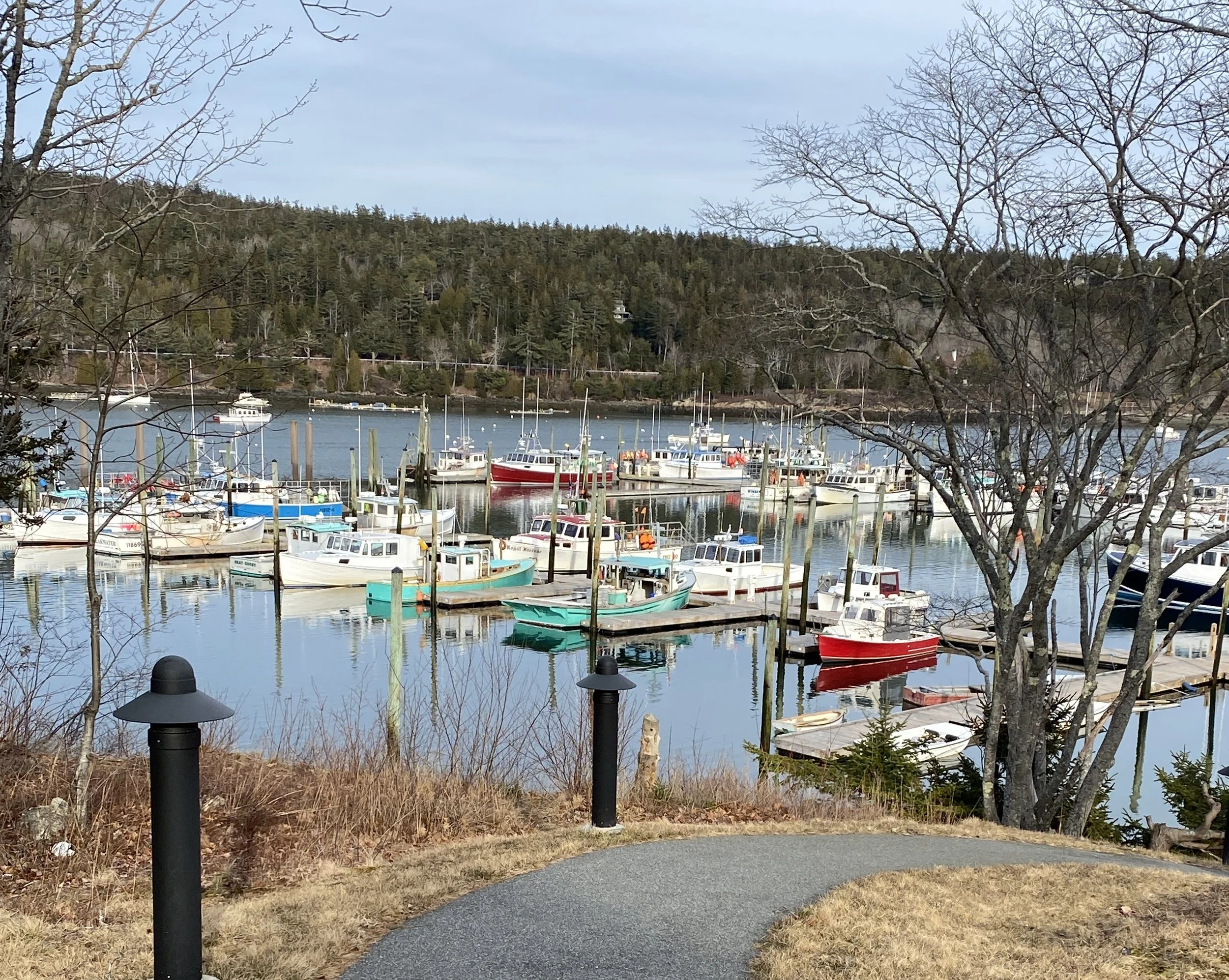 Chebacco Author Talk: Gloves, with Jamie Blaine