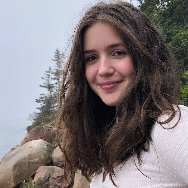 What does the future of democracy look like on Mount Desert Island? At 6:30 on April 23, join us for a presentation and community discussion at the Jesup Library led by MDI Historical Society intern, "Chebacco" author, and lifelong MDI resi