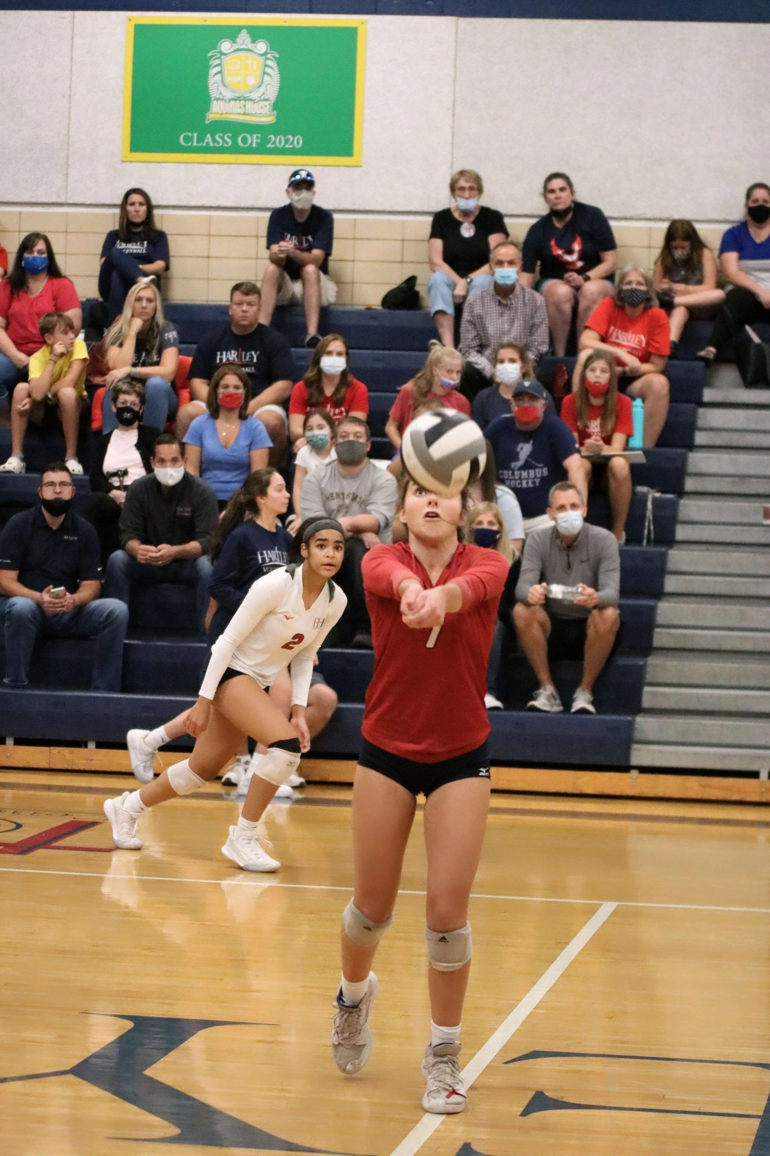 Girls Volleyball — Hartley Hawks
