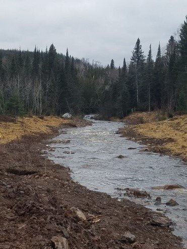 Beaver River Restoration NUS181121_002.jpg