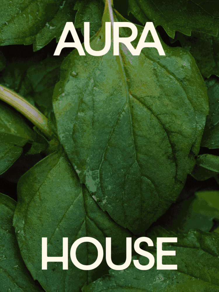 Aura House Portfolio (1).gif