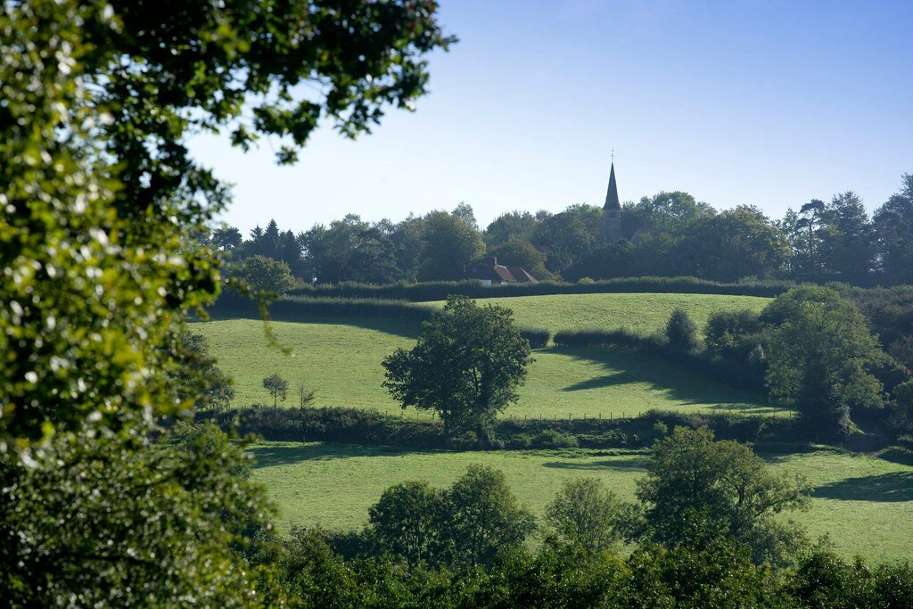 In honor of National Walking Day, we would like to share some of our local walks with you 🚶🏻

We are located on the Greensand Way, which means we are fortunate enough to have access to an incredible variety of beautiful walks. Whether you're lookin