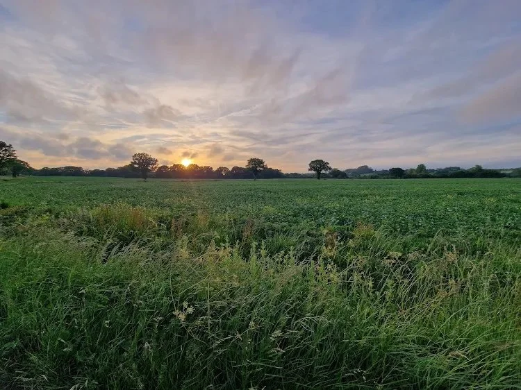 &quot;What a wonderful spot this is. We have spent 3 nights here and loved every aspect of it. The owners go beyond to make you feel at home. A short stroll to the local pub makes this a perfect combination.&quot;

Experience the magic of Elvey Farm 