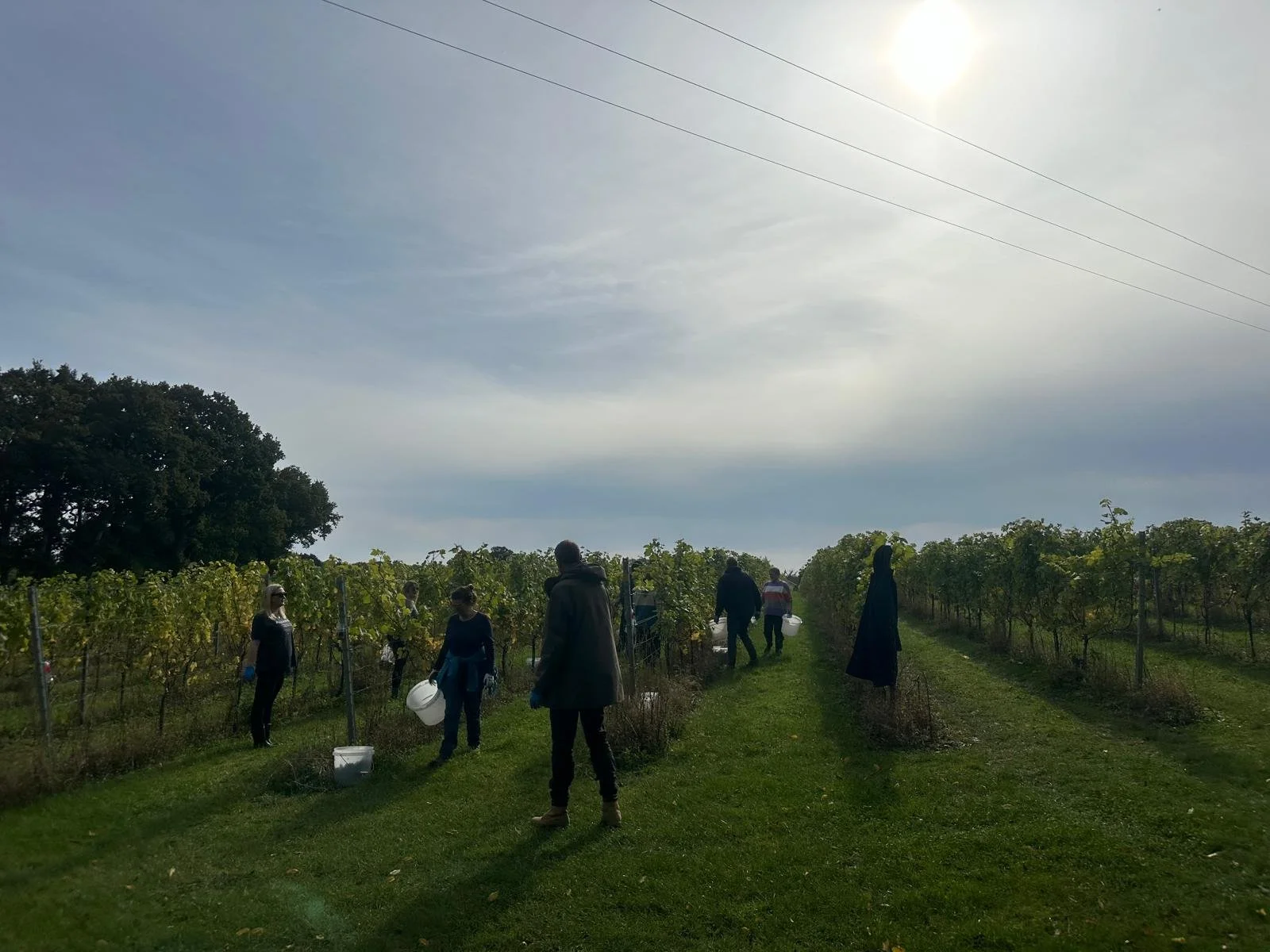 Harvest time in the Garden of England 🍃

As harvest time approaches and is upon us, there's no better moment to explore Kent, the &lsquo;Garden of England.&rsquo; 🌿 Delight in our luscious orchards, charming oast houses, and world-class vineyards. 