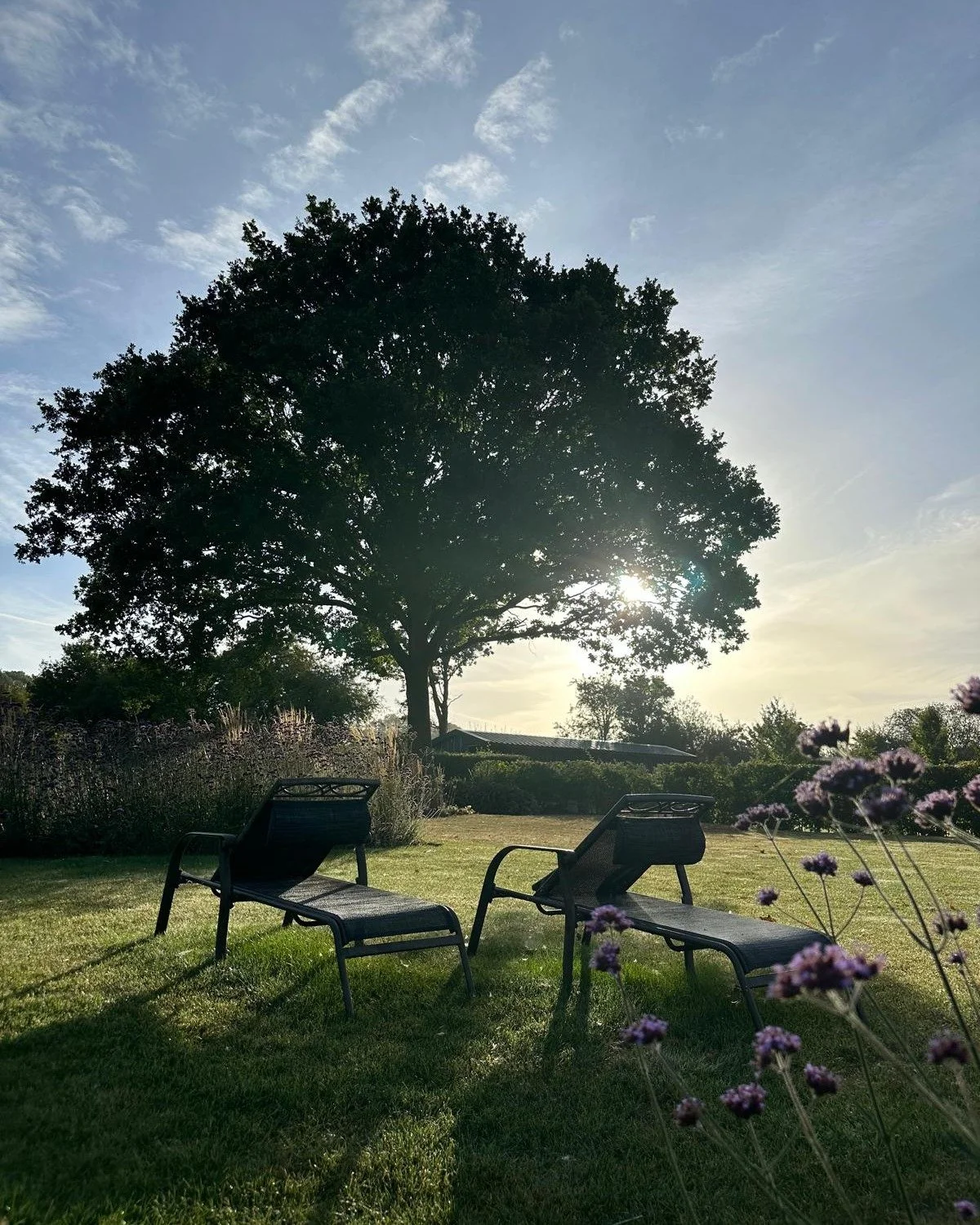 Breathtaking morning moments at Elvey&mdash;come glimpse the tranquility of life here recently! 🌿

&bull; A peaceful start to the day, with our far reaching countryside views framing the sun loungers and majestic Oak tree.

&bull; Nick's Old Roller 