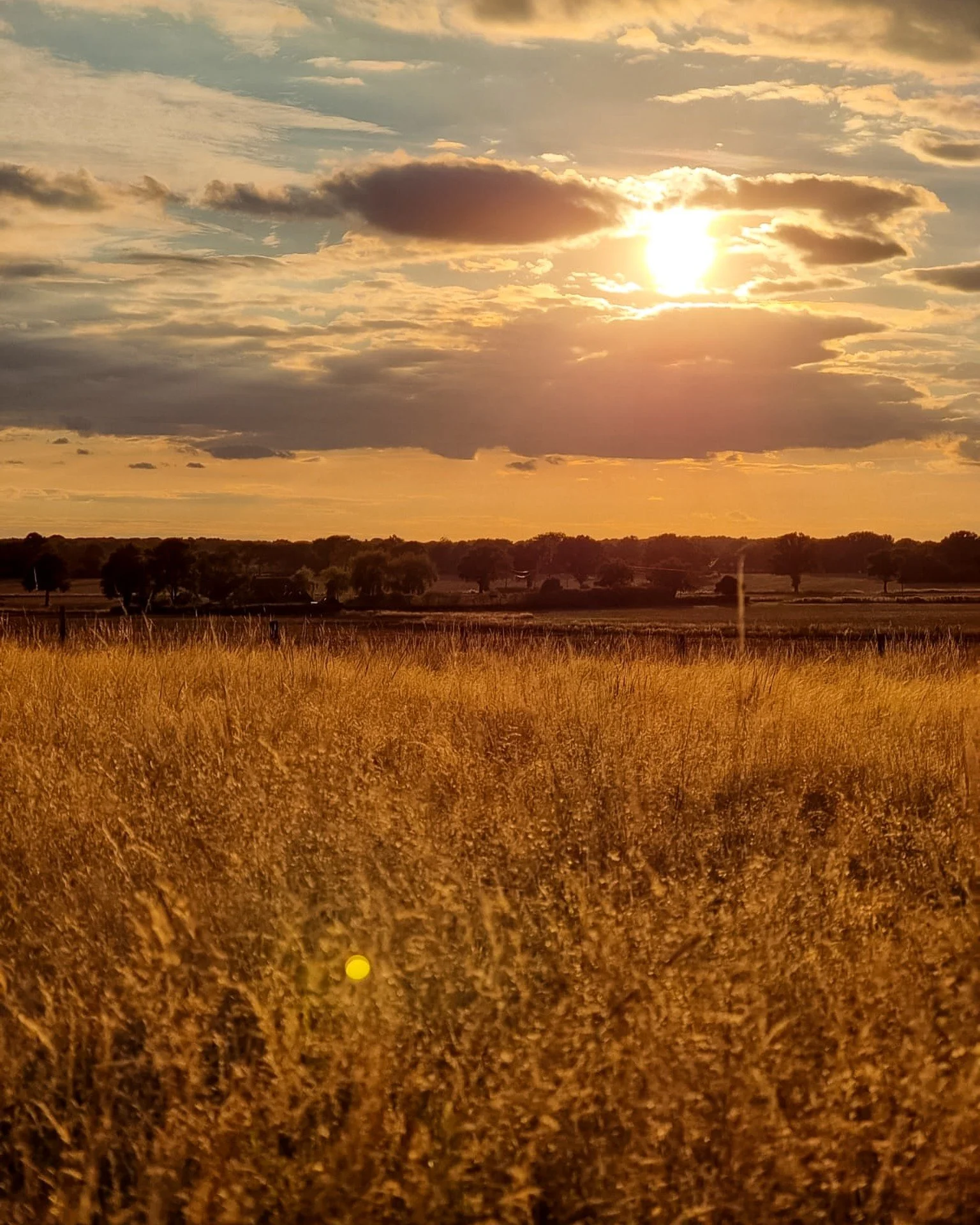 We absolutely love this time of year when we can regularly enjoy the beauty of sunrises and sunsets. This stunning photo was taken during a peaceful walk up the hill, offering a breathtaking view back towards Elvey. We can't wait for you to experienc