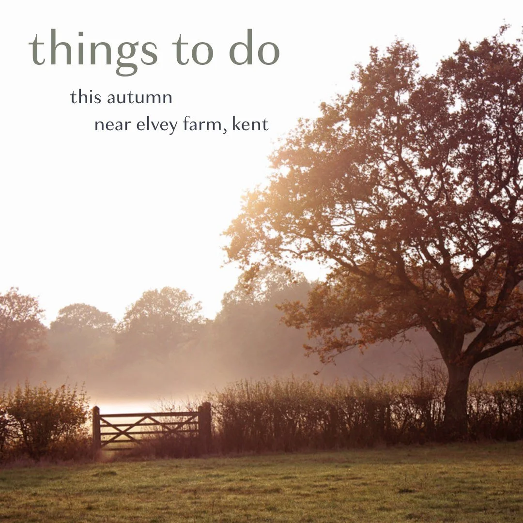 π Exciting Local Events Coming Up Soon #explorelocal 
Whether you're a local or visiting us soon, check out these fantastic options for the next few months:
π **Pick Pumpkins** at @lowerladysdenfarm – all through October 
π½οΈ **Autumn Suppe