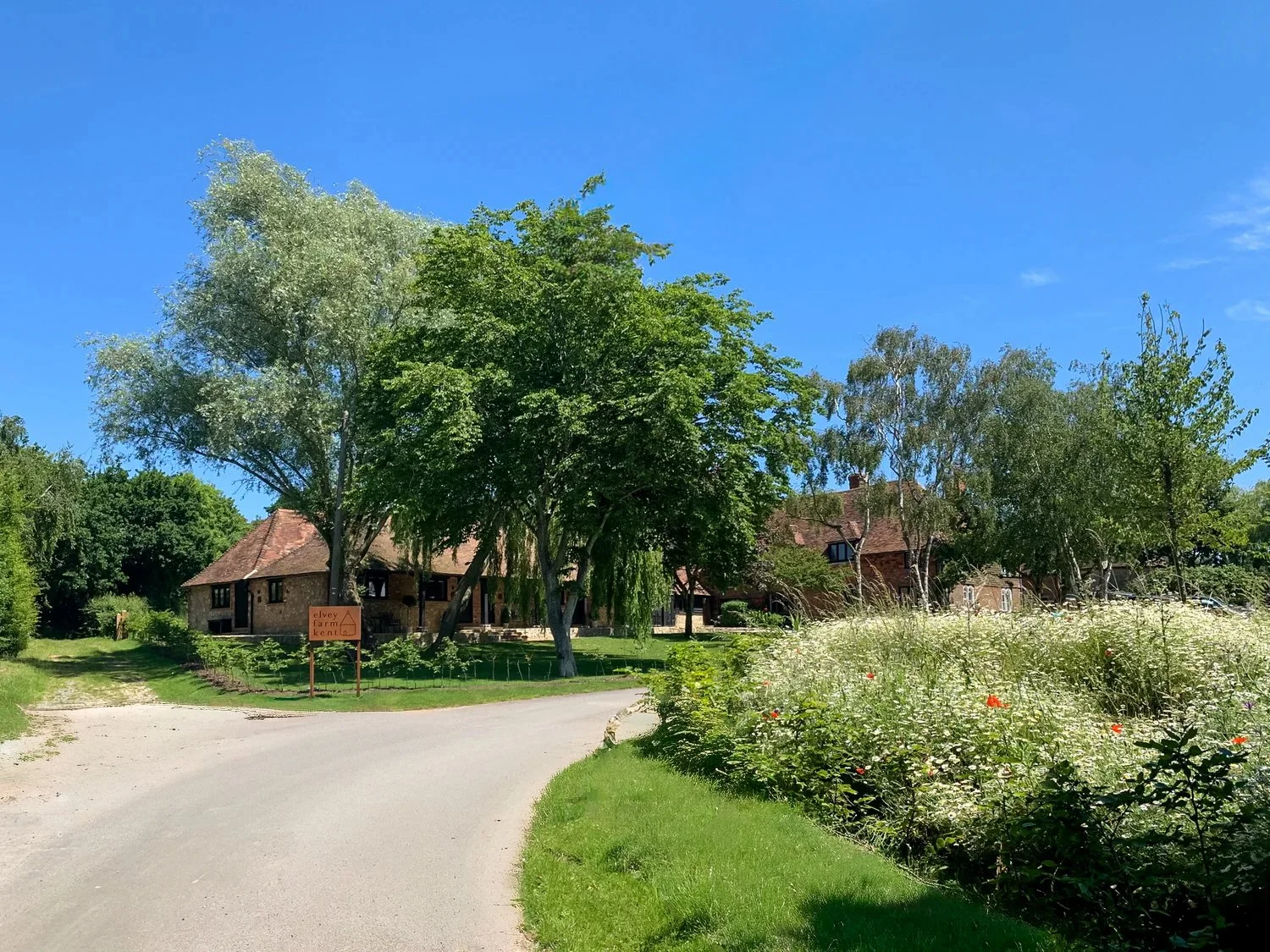 ✨ We&rsquo;re thrilled to be highlighted on the @warehornevineyard website! If you&rsquo;re planning to visit this stunning vineyard, why not elevate your experience by staying in one of our luxurious suites? 🌟

Here&rsquo;s what they have to say ab