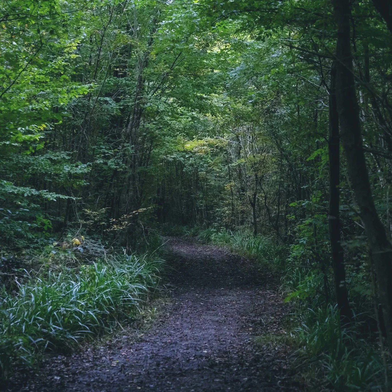 Escape to the tranquil Kent countryside

Looking for the perfect getaway? Discover our historic property on the outskirts of Pluckley. Experience immaculate, new rooms and the serene peace that surrounds you.  You'll feel right at home! 🌿✨ 

&quot;B