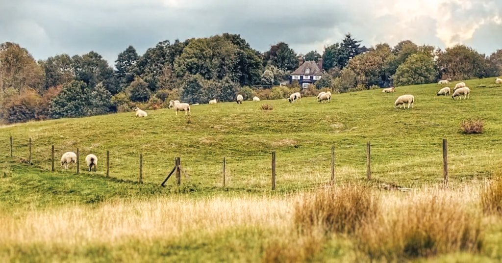 Discover the magic of November walks by Elvey Farm; walks in November like this are simply magical 🤎🍂✨ Ready to explore the beauty of nature? We just had to share @the_flamingo_hiker_uk guide to the Pluckley Circular Walk. It's the perfect way to s