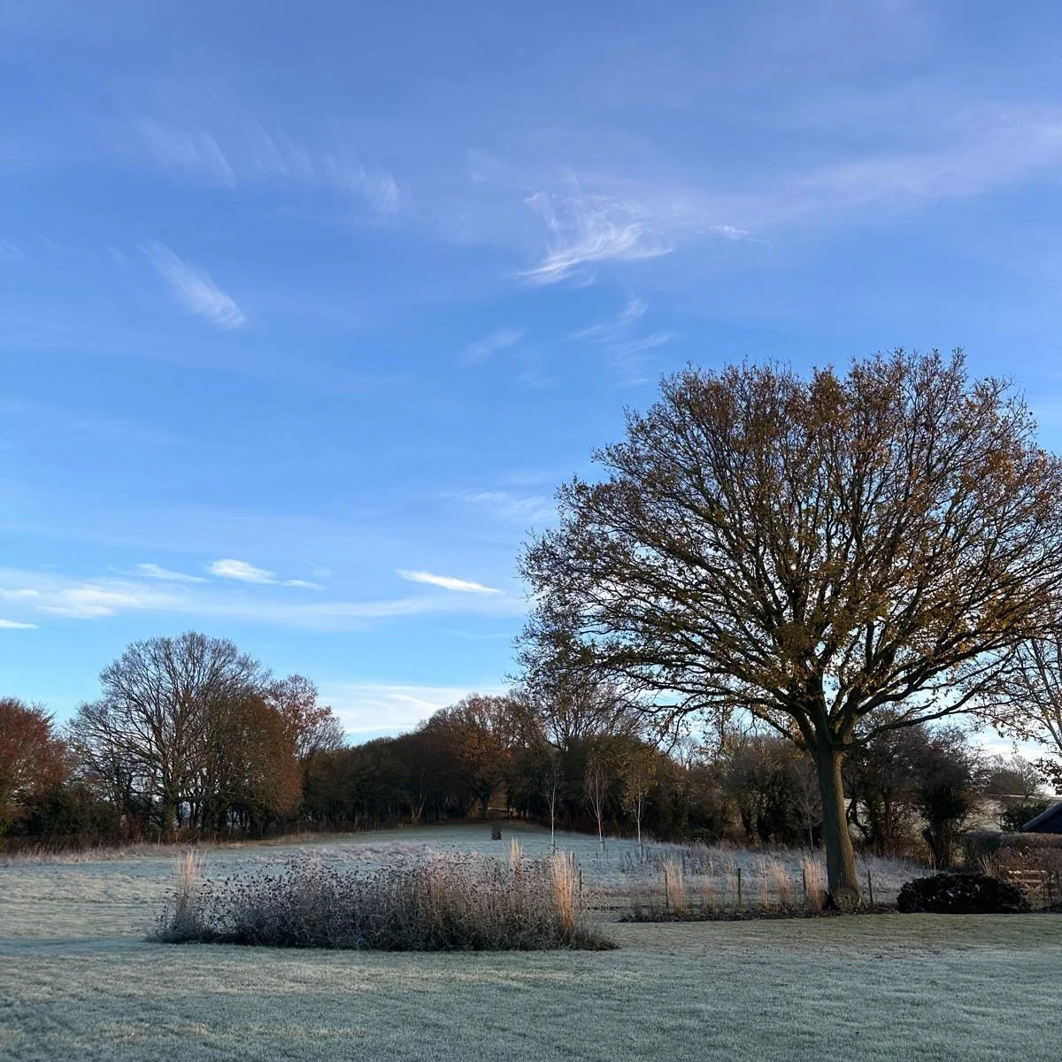 Winter is officially here!

As the temperature drops and we reach the shortest day, we can&rsquo;t help but reflect on the past four years of magical winter moments since we set up our @elveyfarmkent social media accounts. ❄️✨ Swipe through our carou