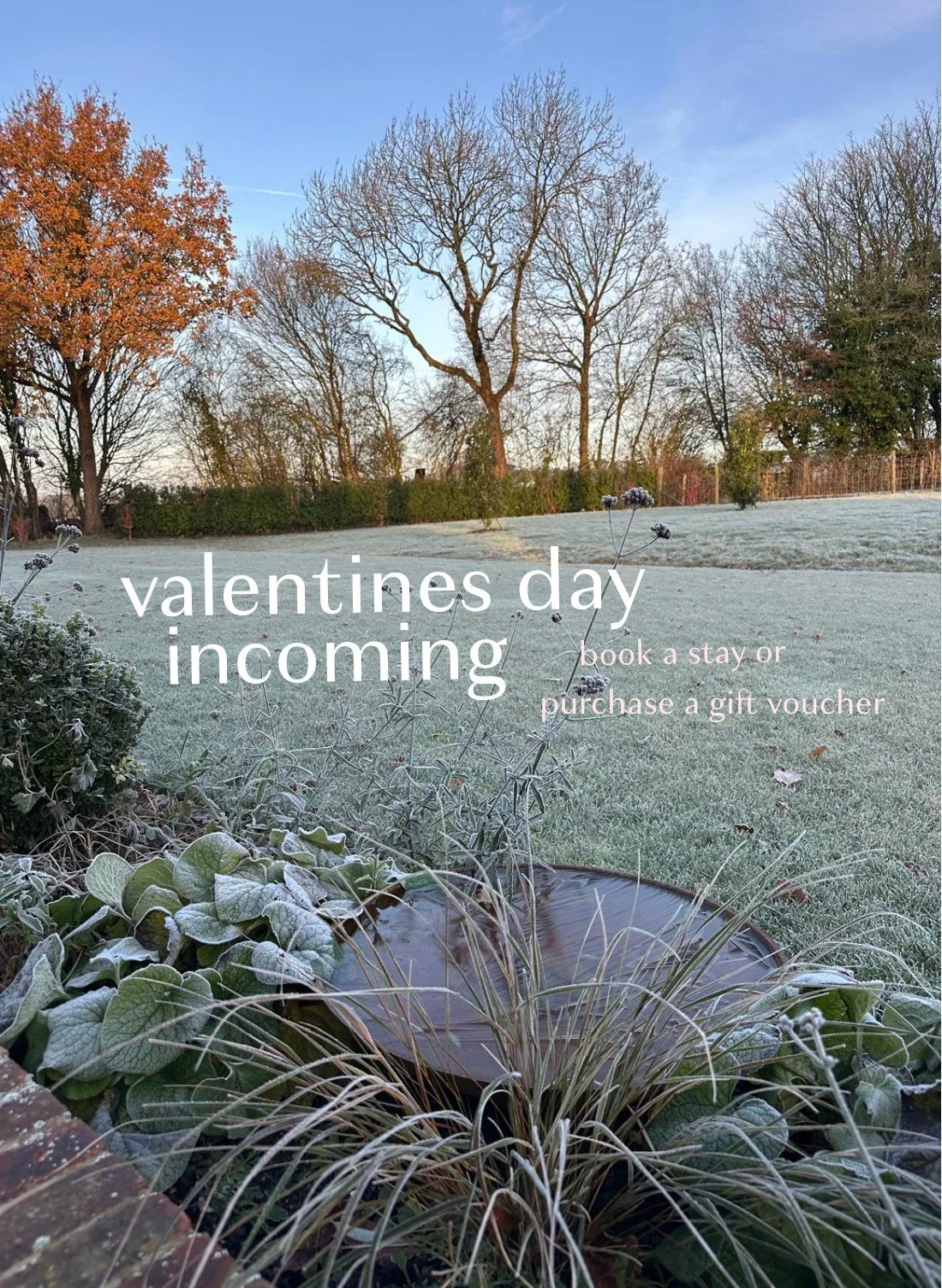 Valentine's Day is around the corner!

Looking for the perfect way to show your love? ❤️ Book a romantic stay or purchase a gift voucher on our website to create unforgettable memories together. Celebrate your love story this Valentine's Day with us!