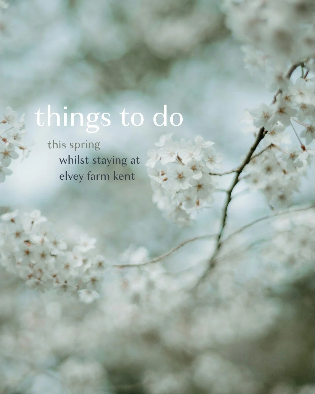 Discover 6 spring events near us 

Spring is almost here, and it's time to step outside and embrace the blooming season! 🌷 We've gathered a selection of exciting events just for you to explore this spring. From local festivals to outdoor adventures,