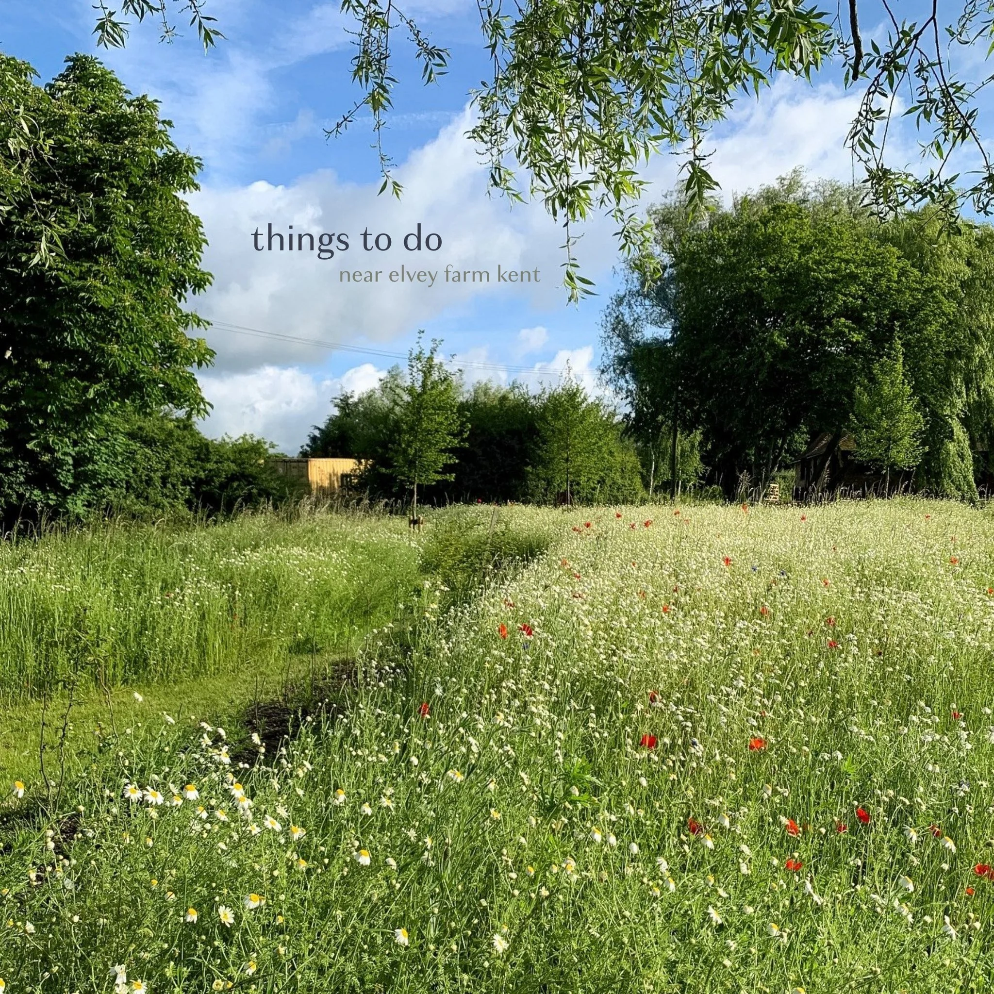 Save and share with a friend! Starting the month with a few recommendations we are excited about or dreaming of. 🍃 What's on your list?

1) @warehornevinyard Tour and Tasting dates, book an experience to sip, savour and explore during your stay here