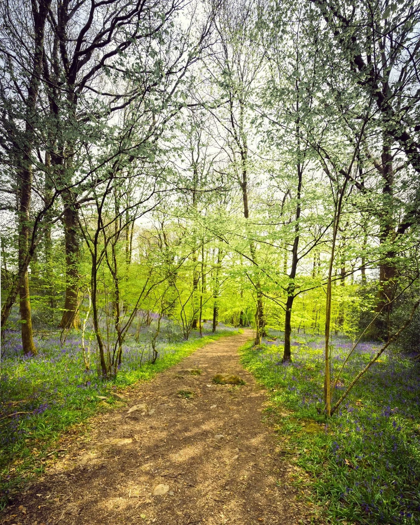 Feel the warmth of sunshine on your skin and let the sweet melodies of birds fill your ears&hellip; With the clocks springing forward, brighter days are just around the corner!

Our luxurious suites are now available for booking at website..! Escape 