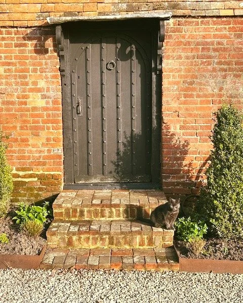 Derek soaking up the spring sunshine

There's nothing like a warm spring day to lighten the mood! 🌞 Meet Derek, keeping a watchful eye at the front door while basking in the beautiful sunshine. With flowers blooming and a gentle breeze, who wouldn&r