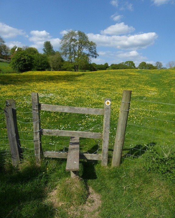 Whether you&rsquo;re a wild-weather wanderer, a solitary stroller, a hardcore hiker or a weekend walk-and-talker, get involved in National Walking Month in May 2026 to celebrate everything you love about getting out in nature.

Located on the greensa