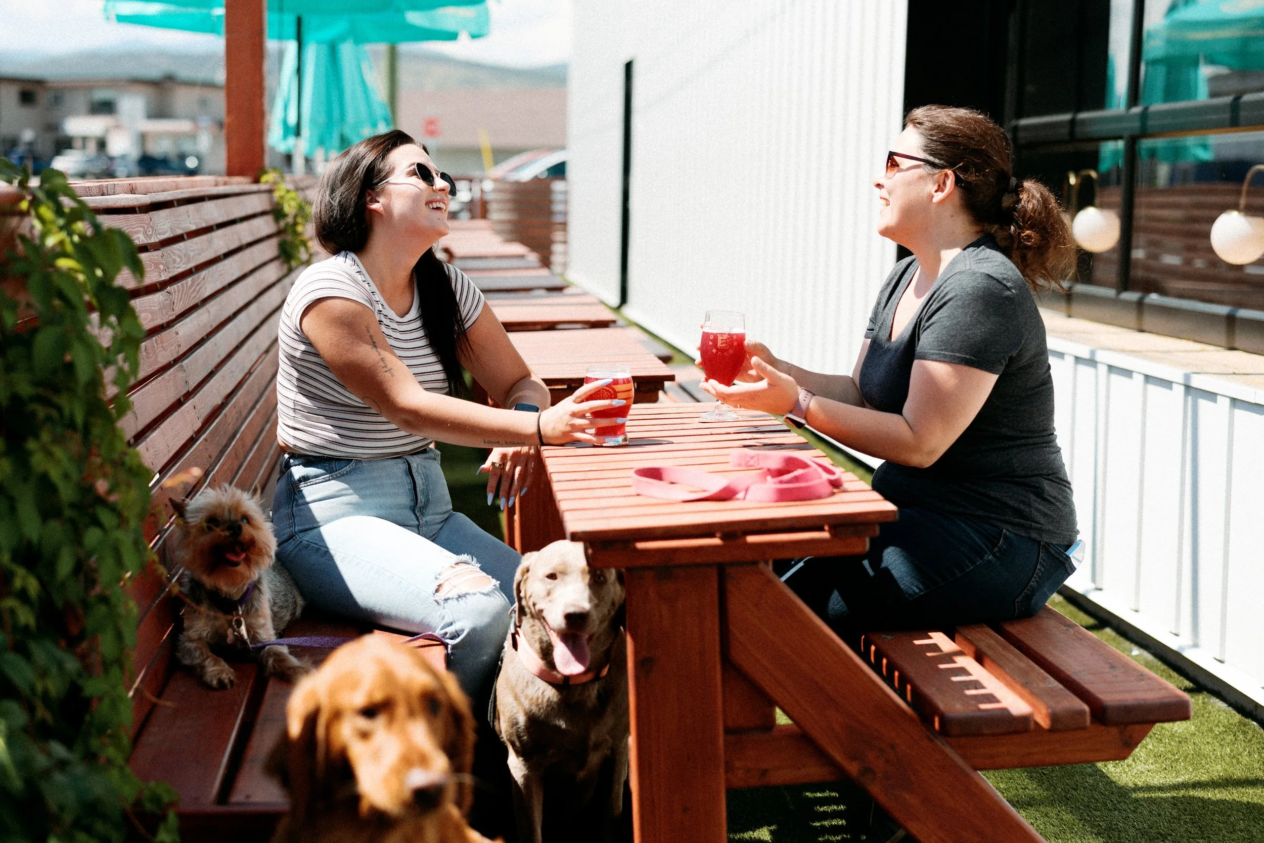 Two women sitting at a picnic table outdoors, smiling and chatting while holding drinks, with three dogs nearby.
