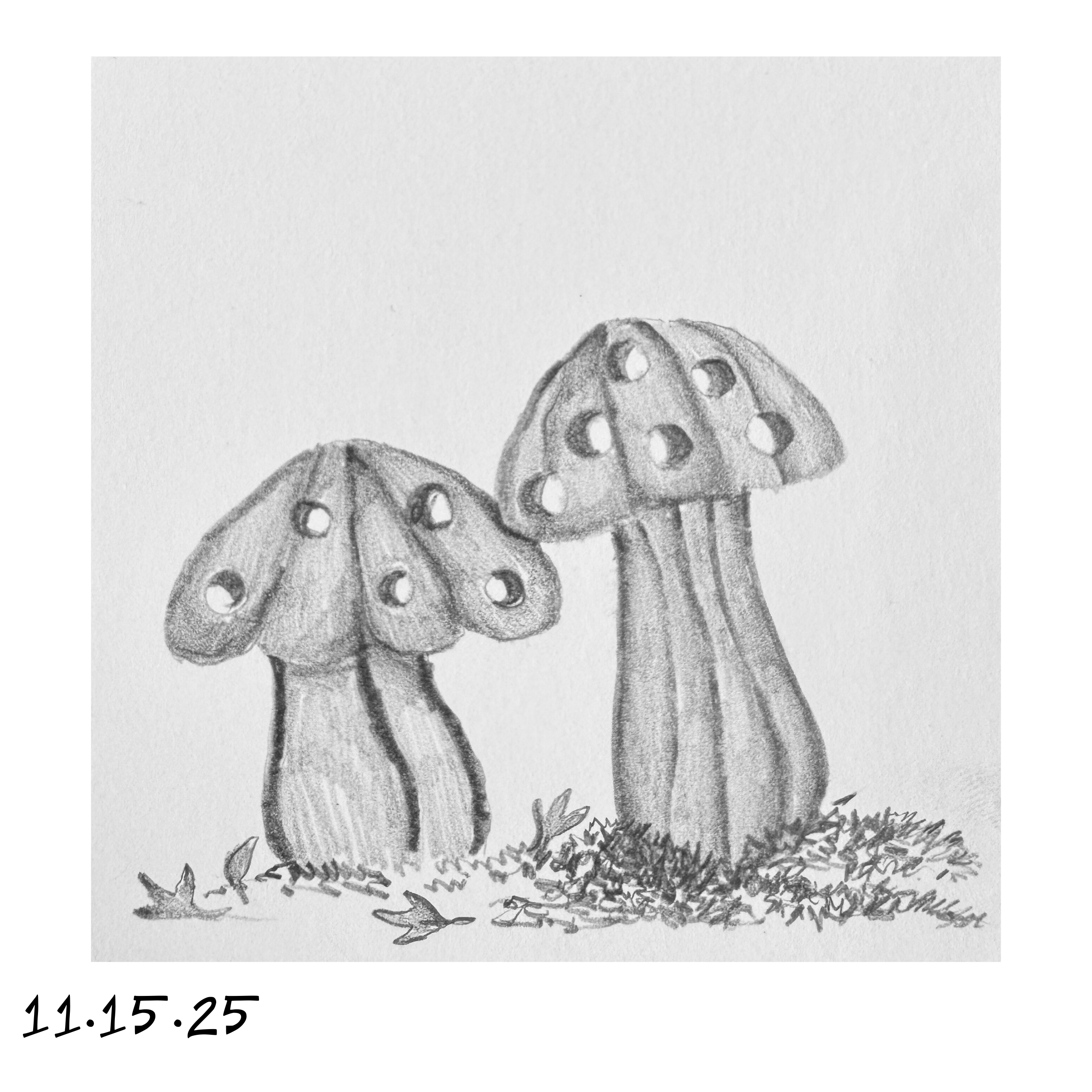 15.png