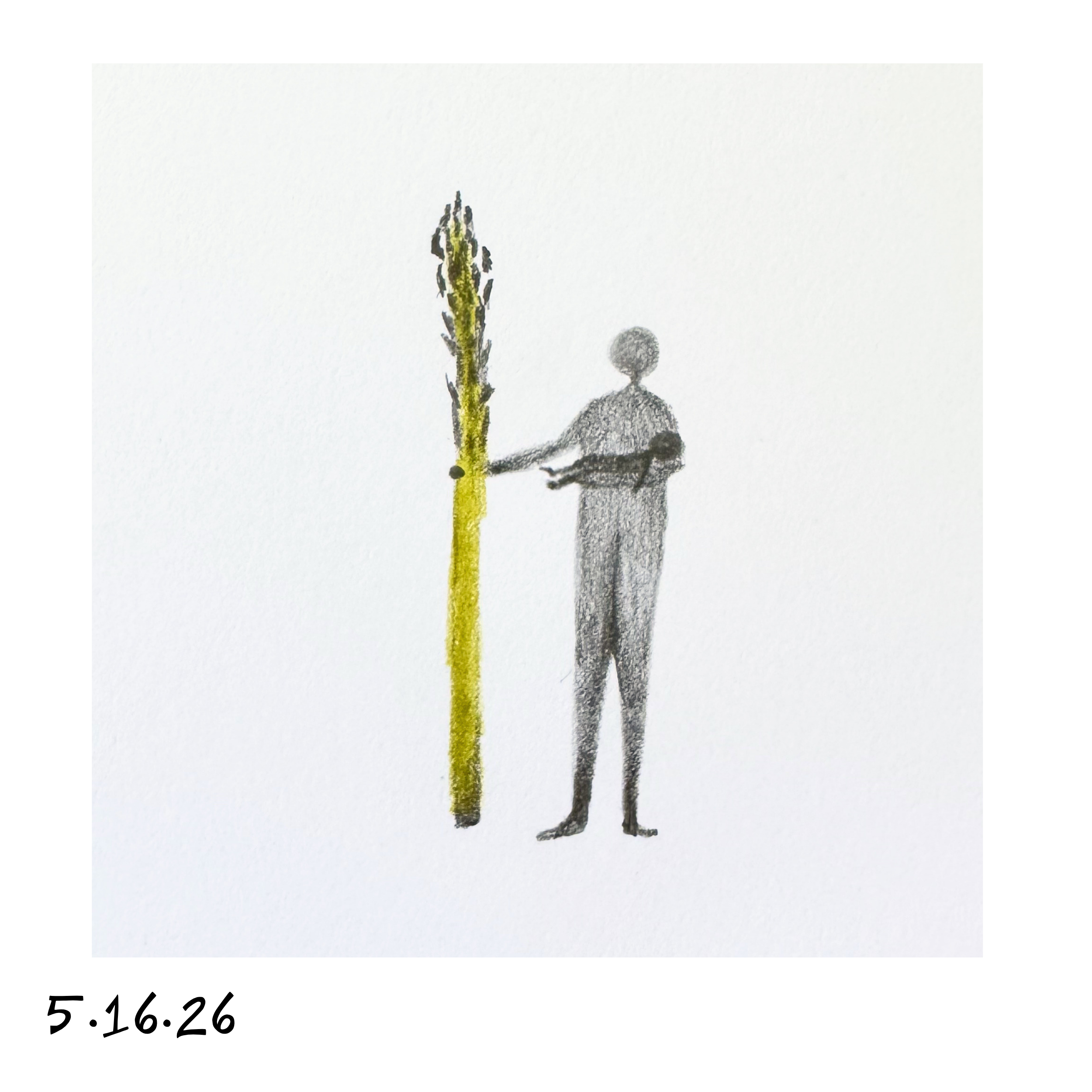 16.png