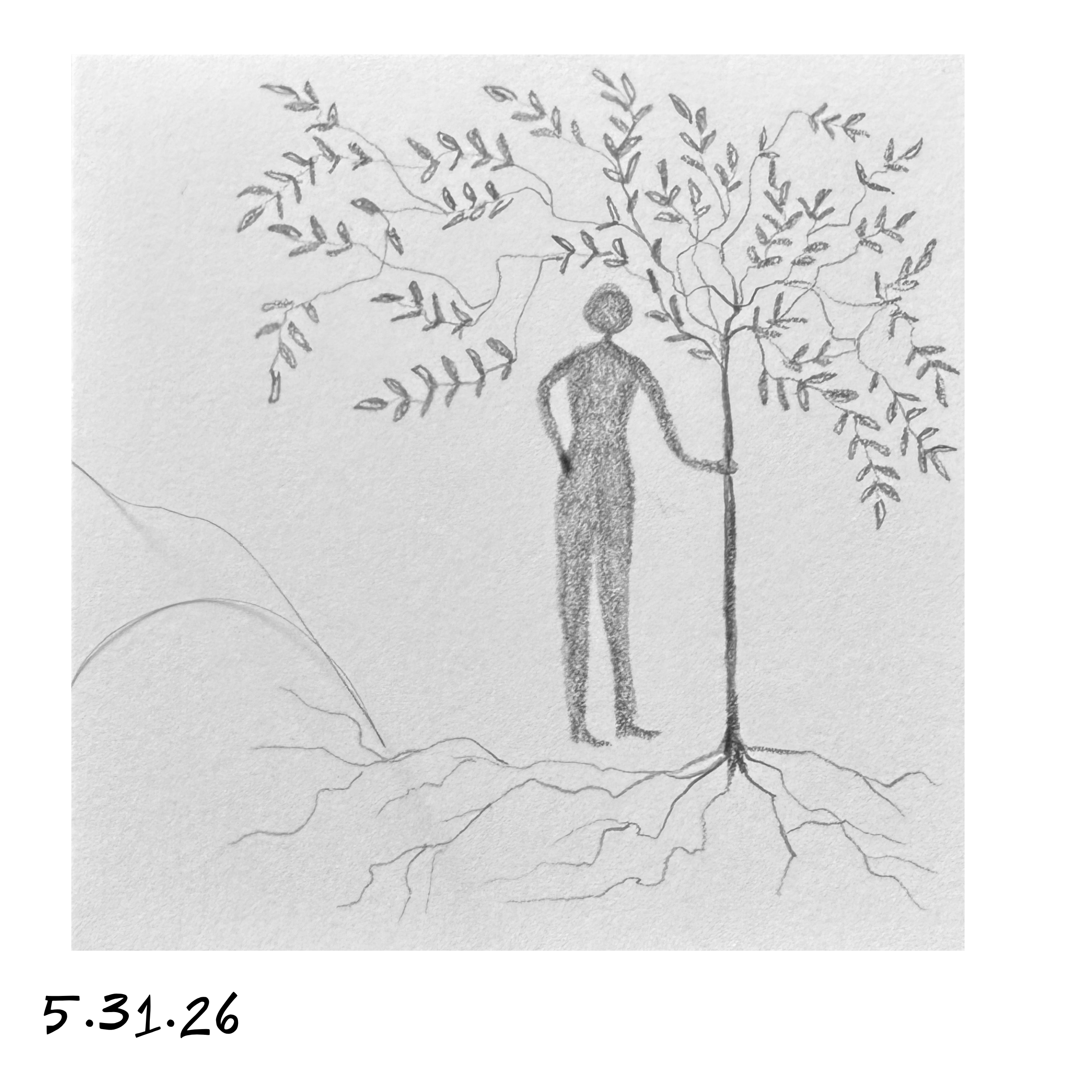 31.png