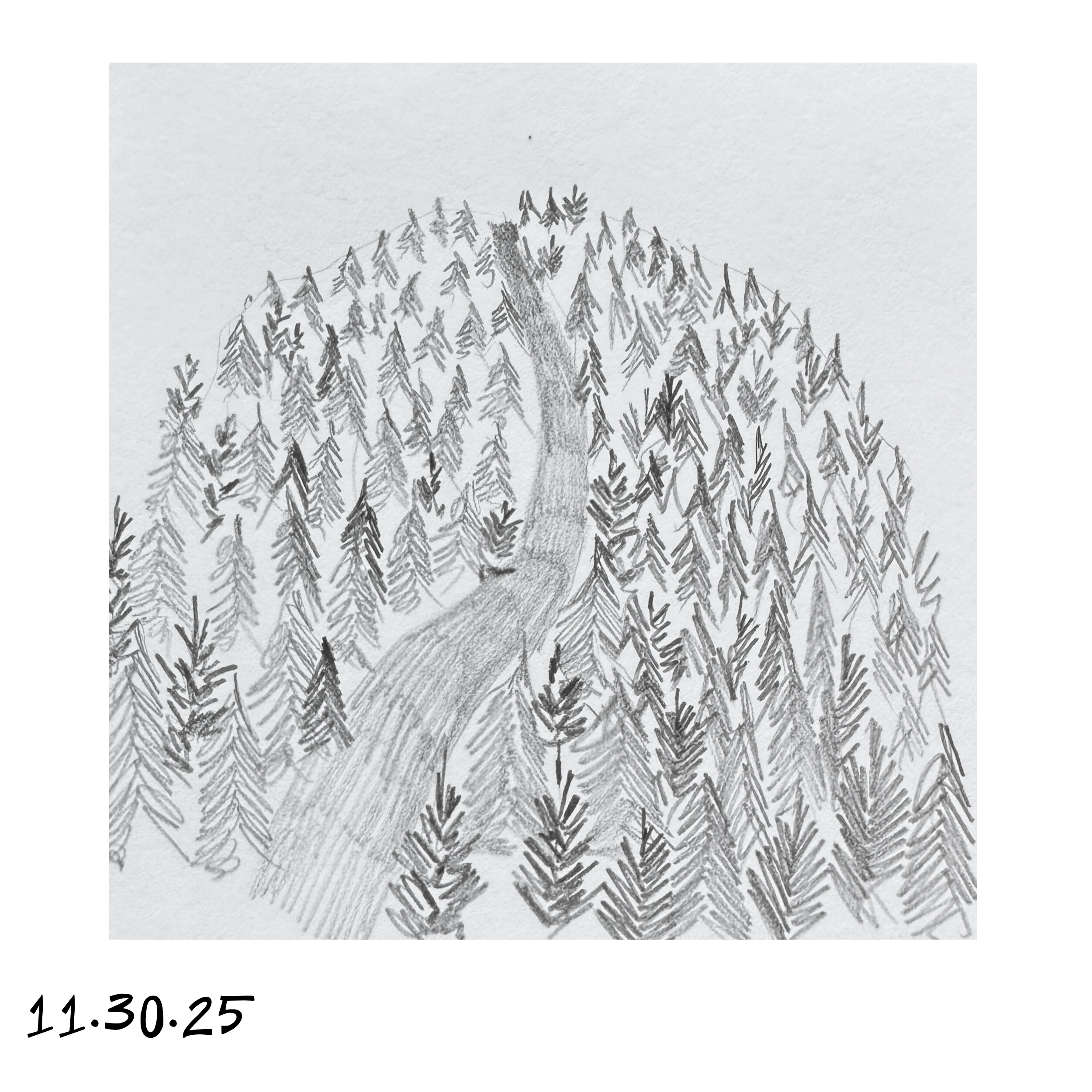 30.png