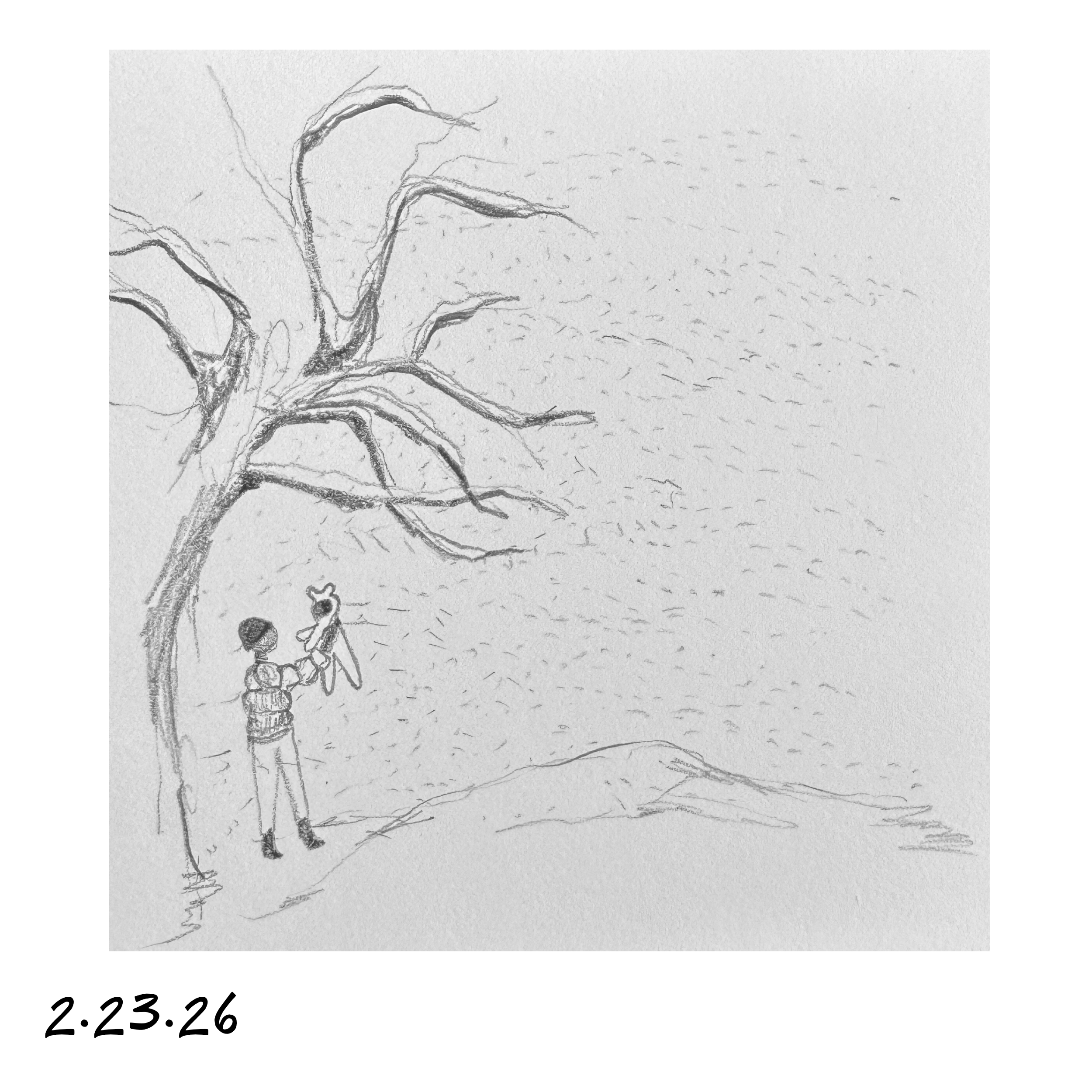 23.png