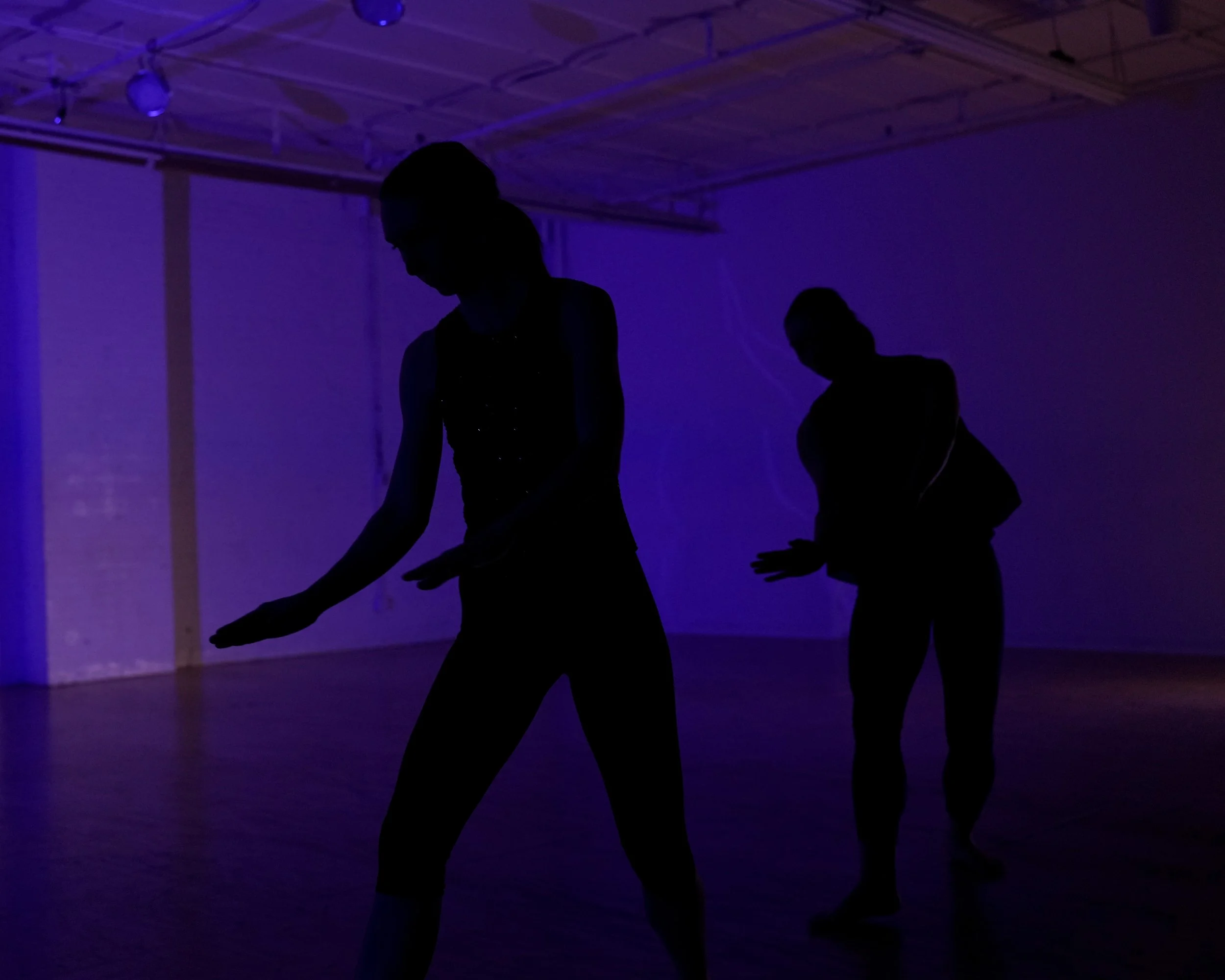 Photo by Amelia Golden