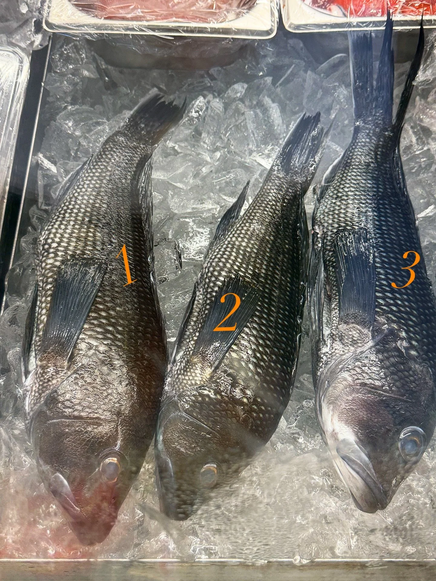 ☘️🎶3️⃣
&hellip; days left