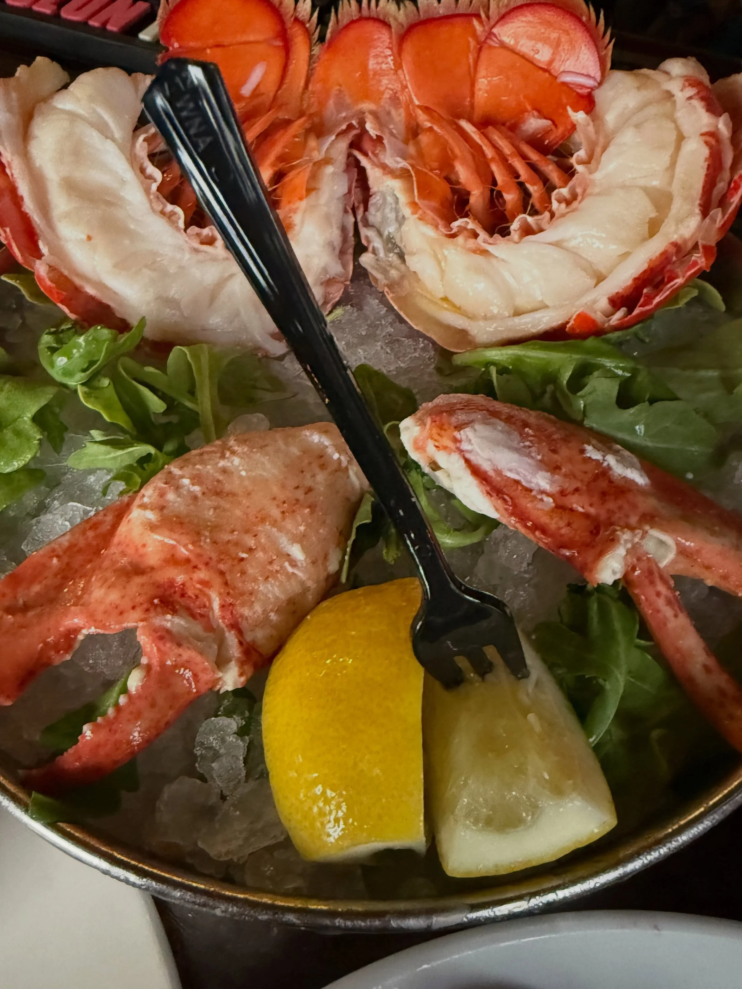 two more sleeps&hellip;
🦞

until we&rsquo;re rolling.
🌀