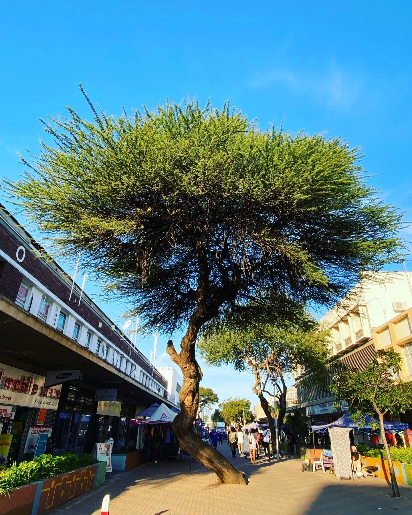 Today we mall, tomorrow we mine #gabarone #botswana This mall and the small businesses populating it are possible because of the Diamond industry and Botswana&rsquo;s good governance 
@debeersgroup