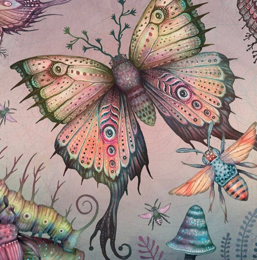 Colorful illustration of a butterfly with detailed, patterned wings next to other insects including a larva, a bee, and a mushroom on a pink background.