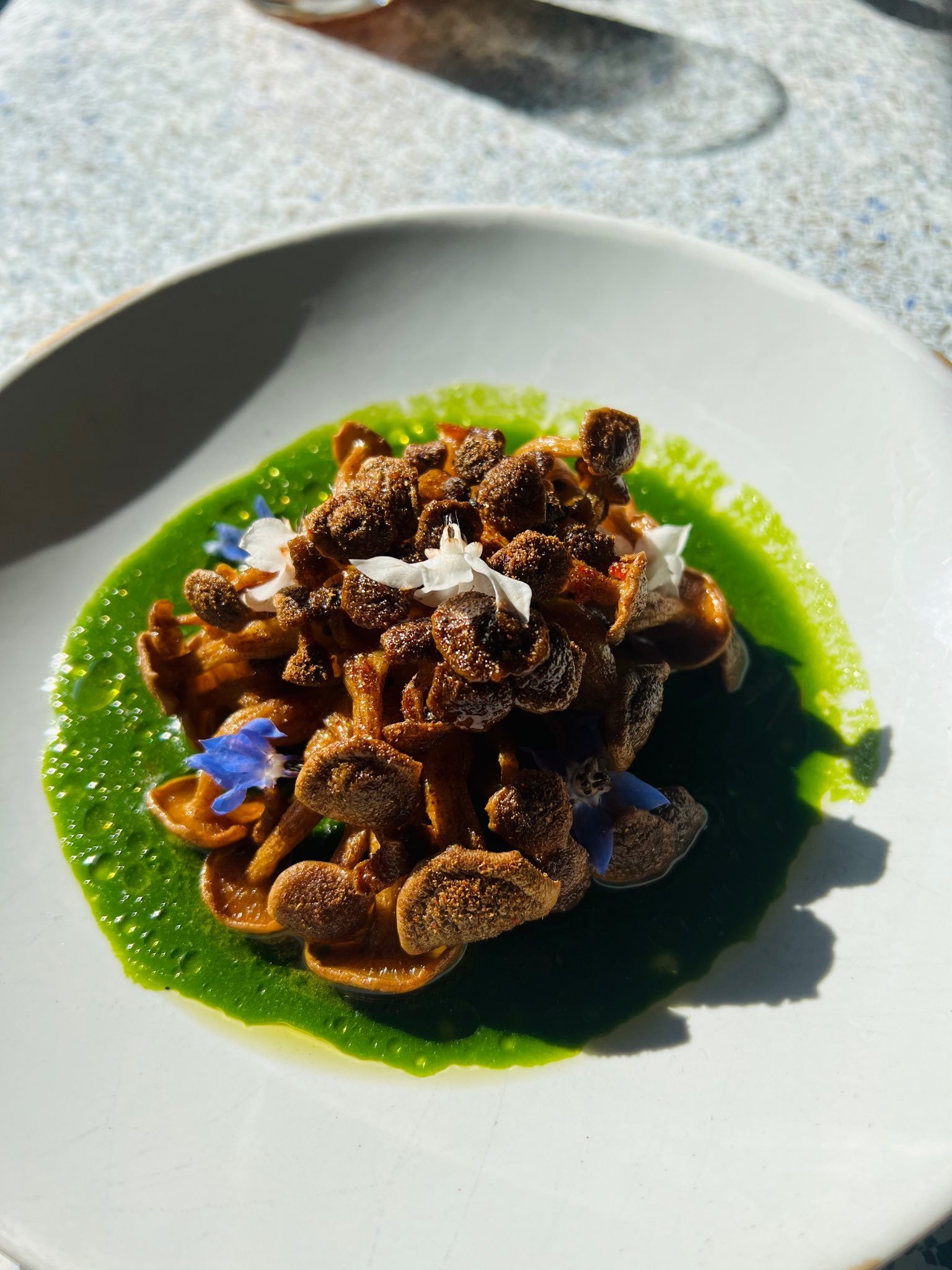 A plate of cooked small brown mushrooms topped with white edible flowers, placed on a green sauce on a white dish.
