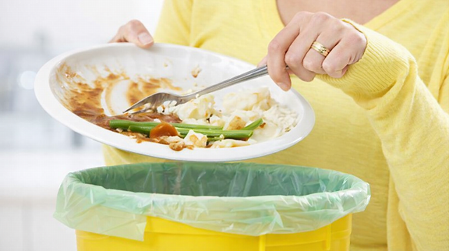 Why Food Waste Matters in London, Ontario
