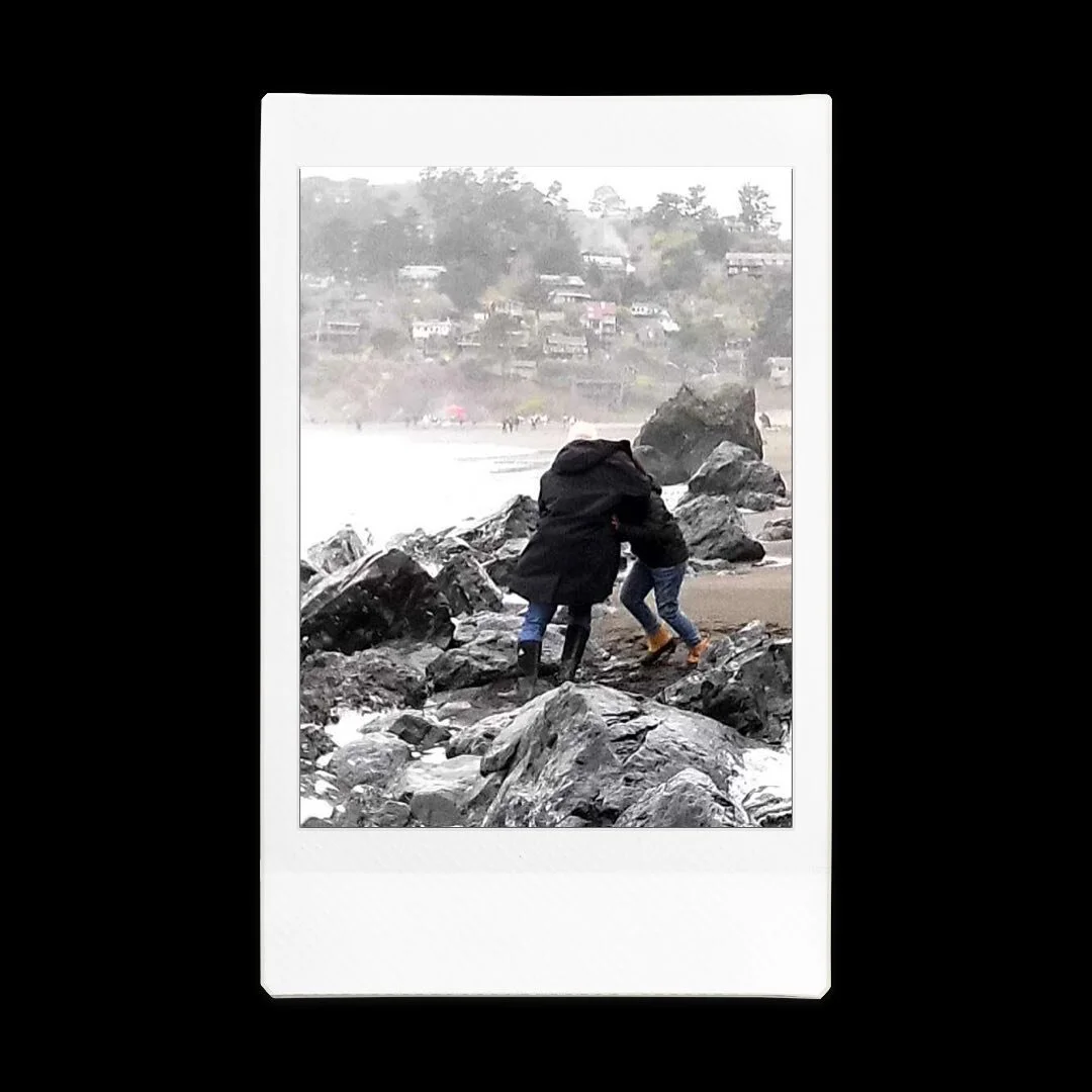 Battle of The Titans.

#muirbeach 
#instaxminievo