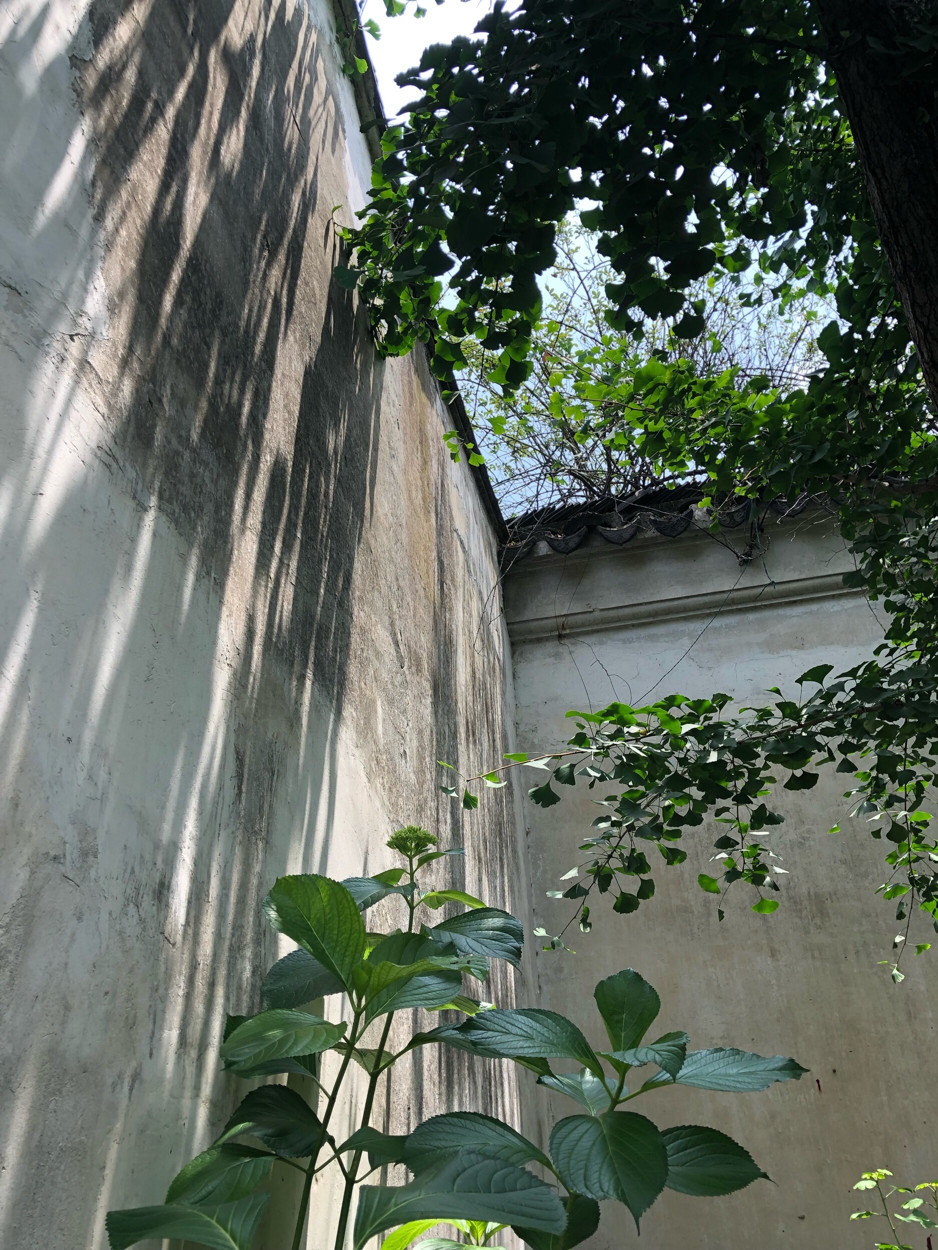 IMG_4661.jpeg