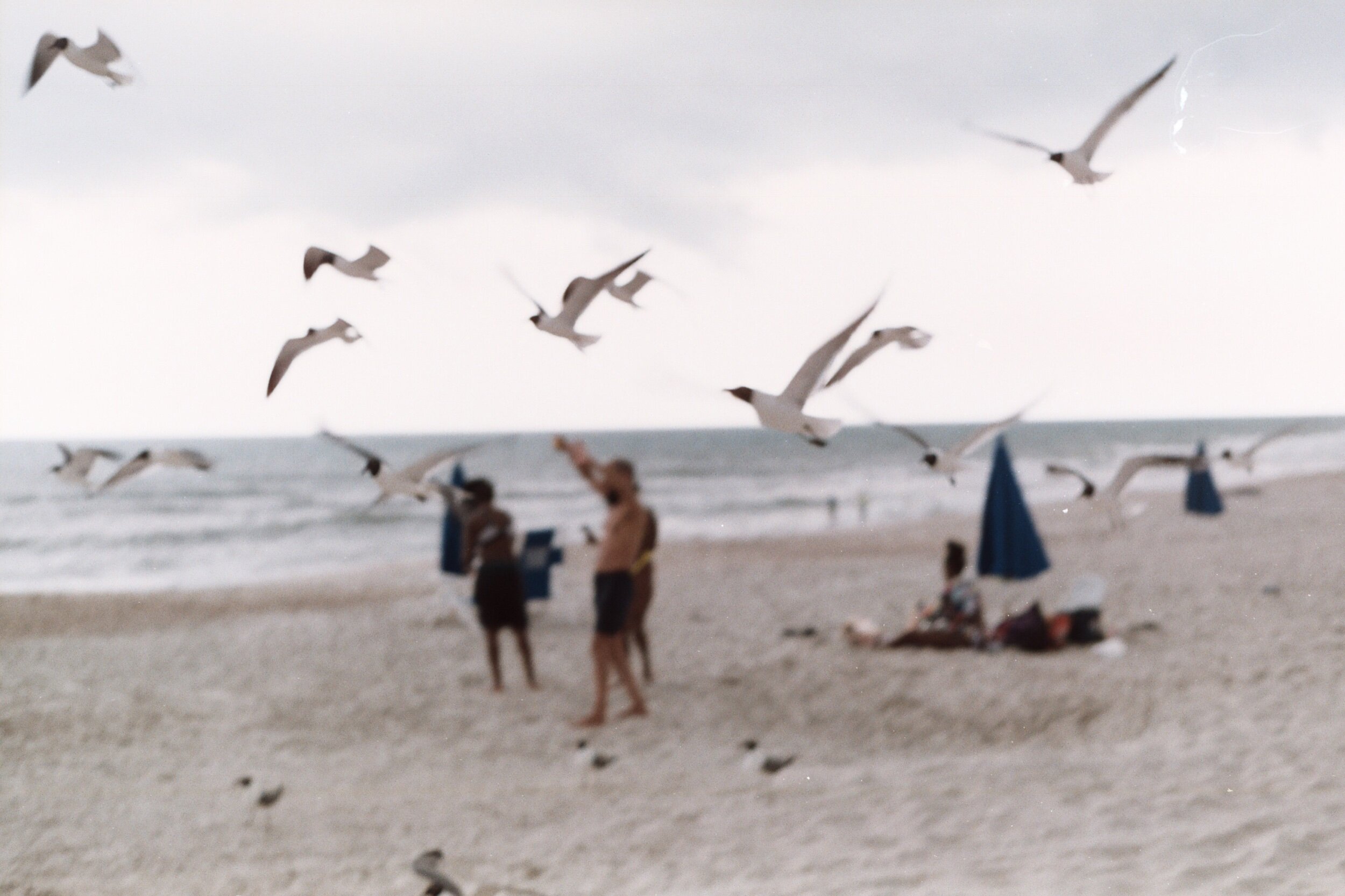 IMG_9482.jpeg