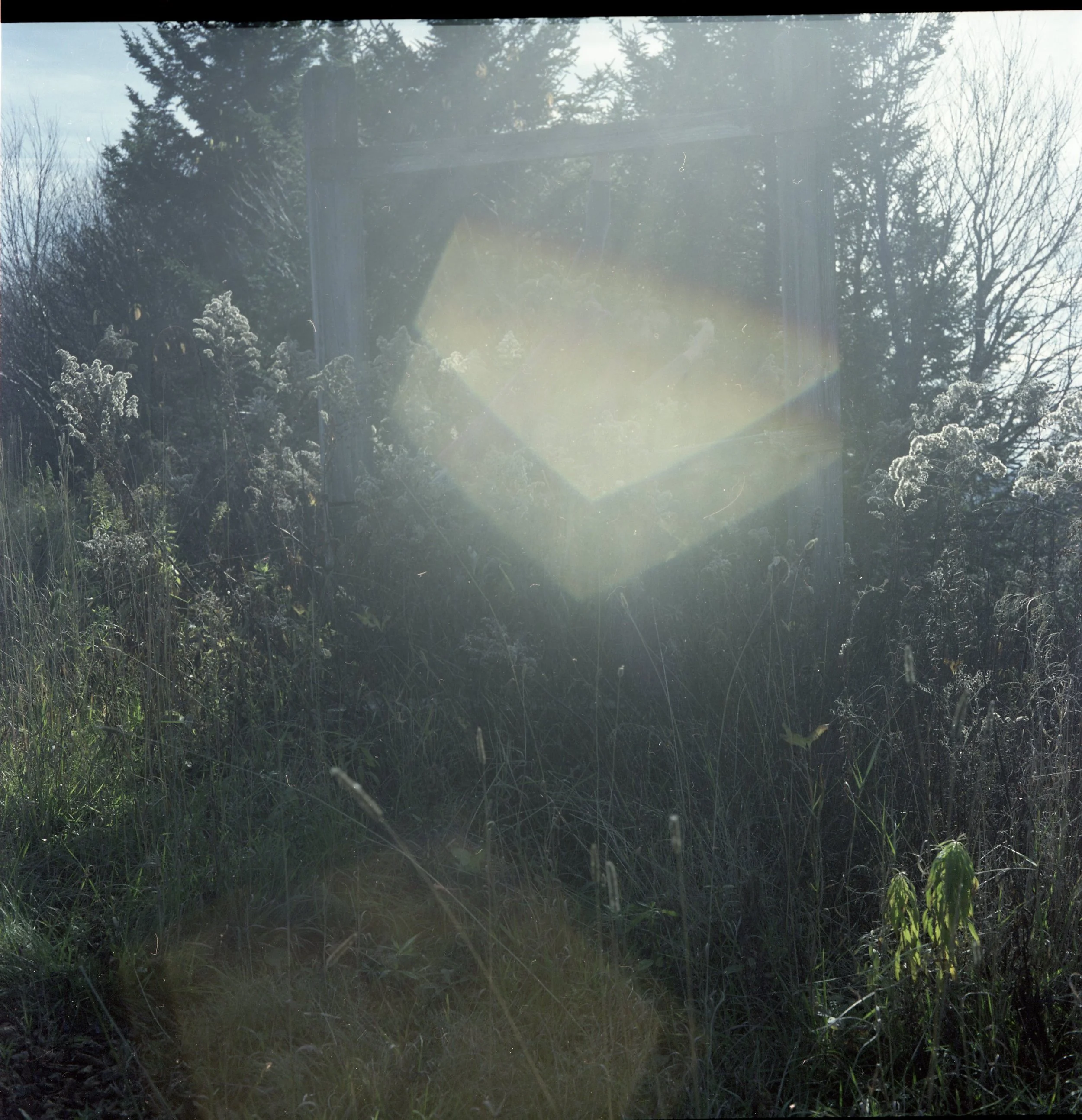 Nov 23 scan. Xiao0003.jpg