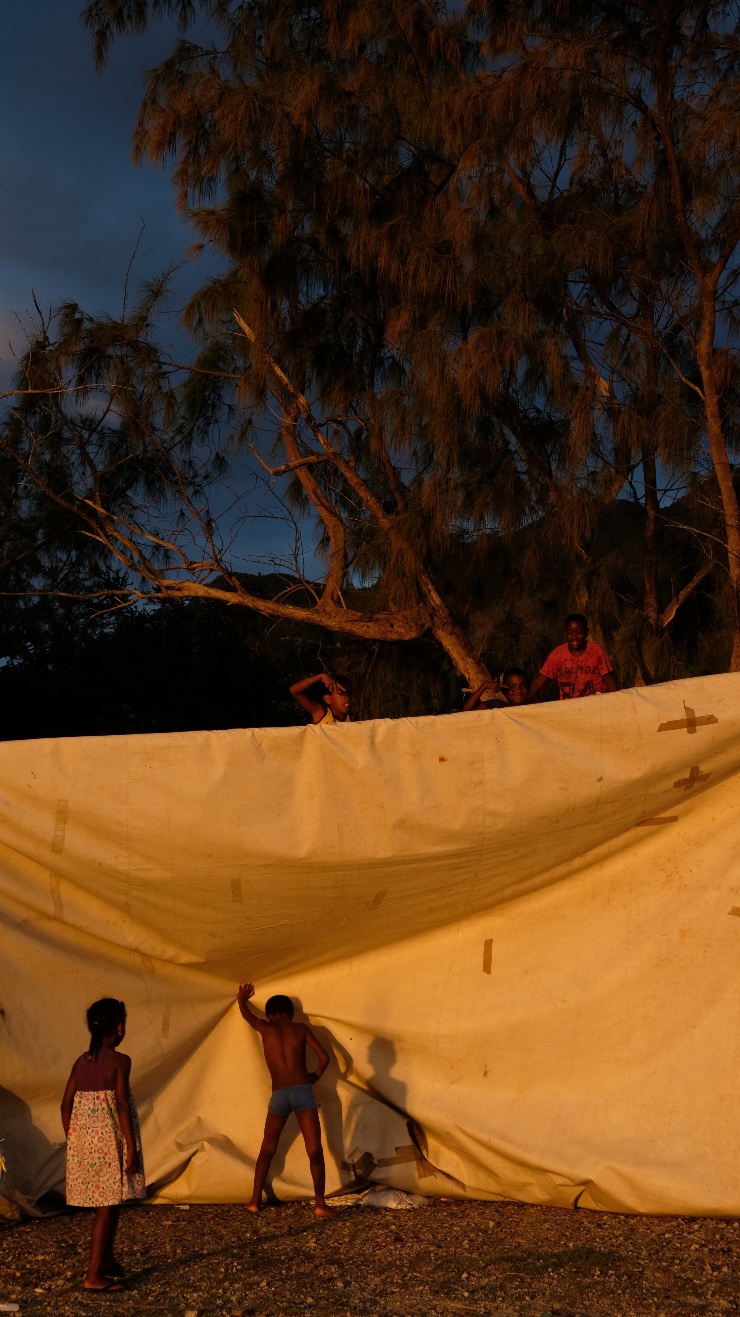 I’ve been thinking about them since I took these pictures.