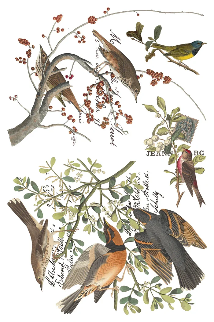 IOD-TRA-WCLWinter_sCallingtransferpage3SMALL.webp