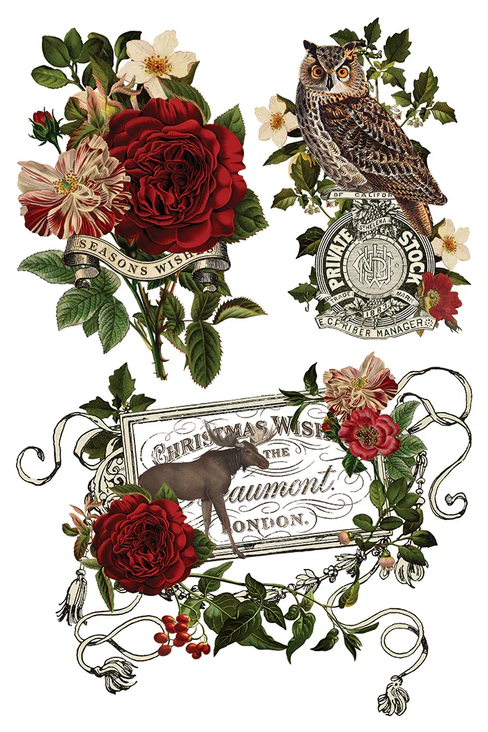 IOD-TRA-STGStagTaverntransferpage5SMALL.webp