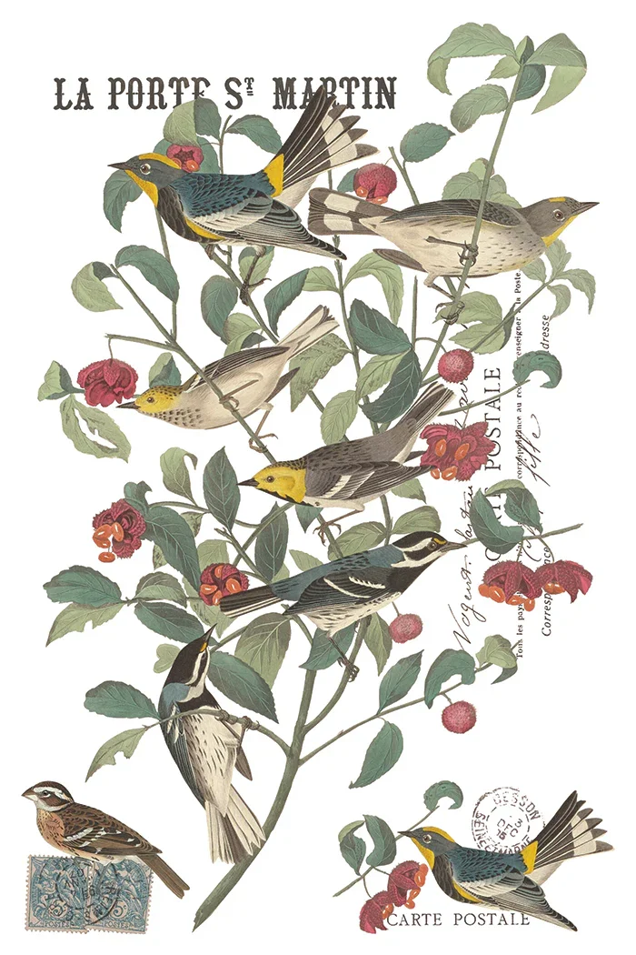 IOD-TRA-WCLWinter_sCallingtransferpage2SMALL.webp