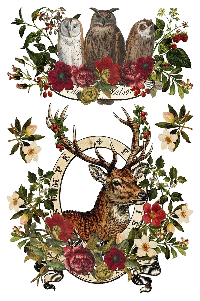 IOD-TRA-STGStagTaverntransferpage3SMALL.webp